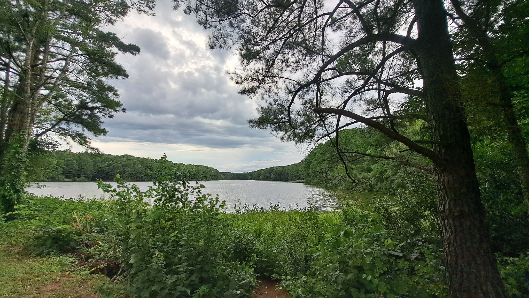 A calm lake surrounded by dense green forest under a cloudy sky. - Apex Community Lake Trail