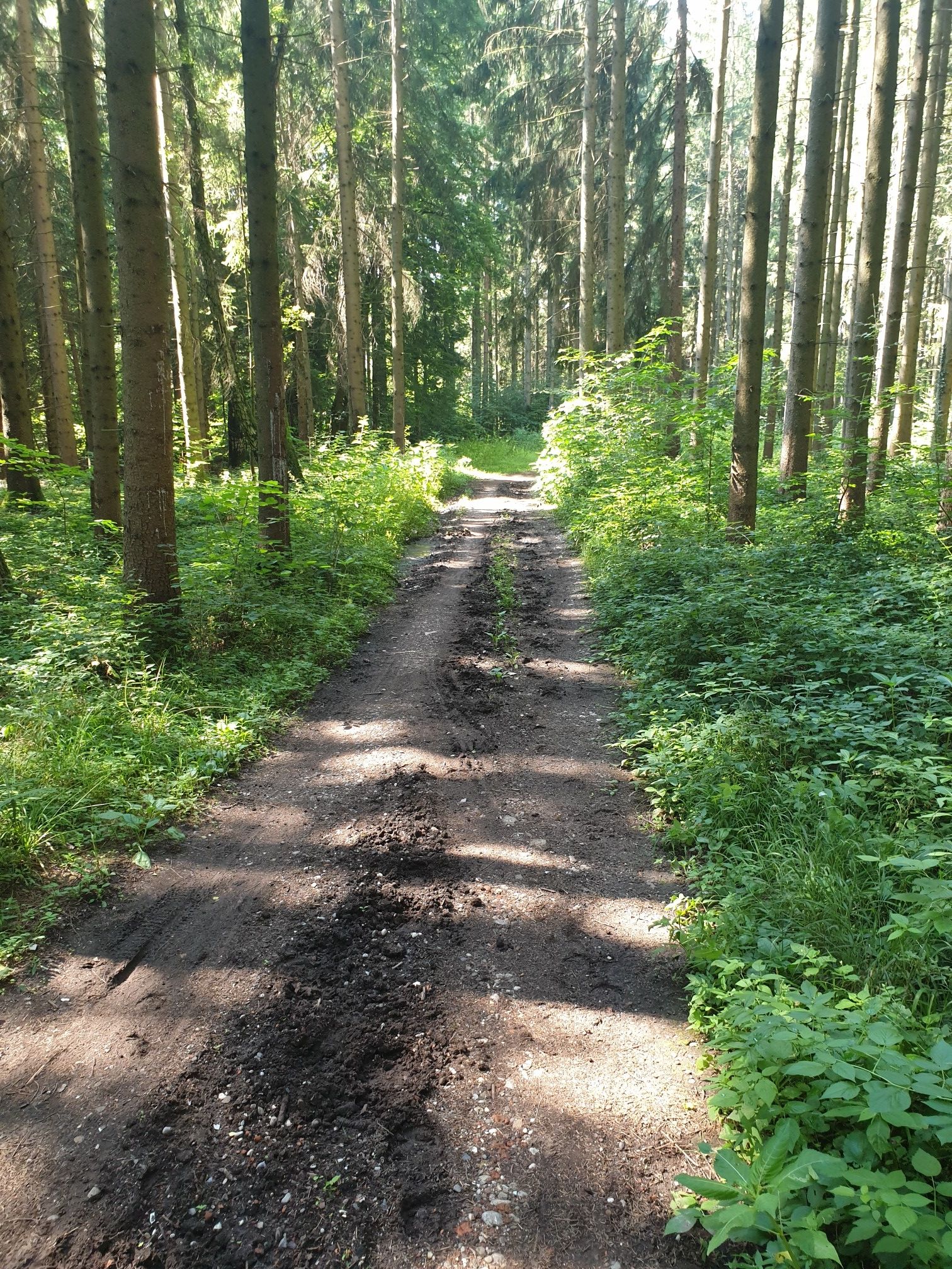 Der Weg wird auch von Reitern benutzt