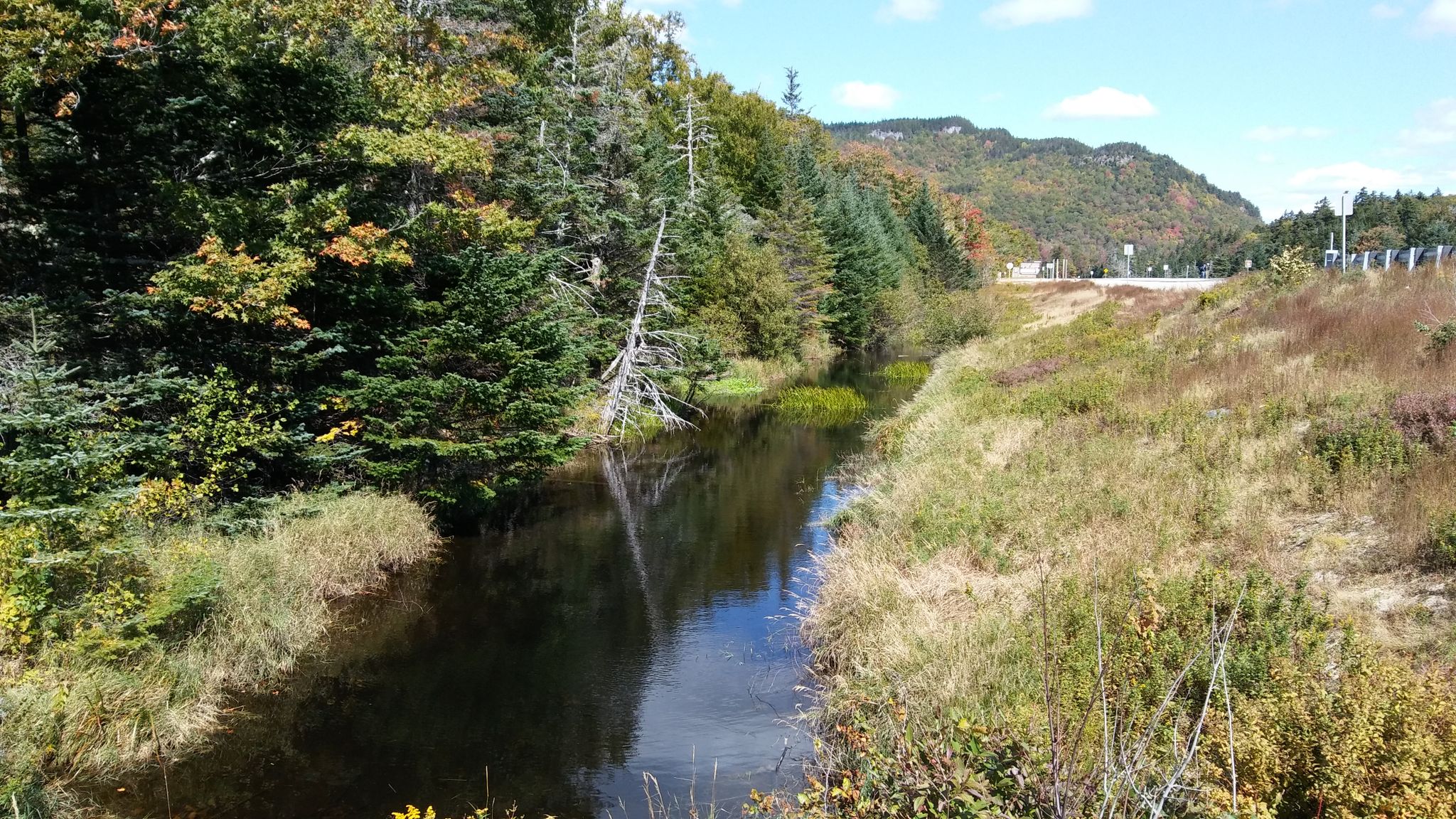 A calm river flows through a forested valley with distant mountains under bright sky. - Mount Washington Loop via Tuckerman Ravine and Boott Spur Trail