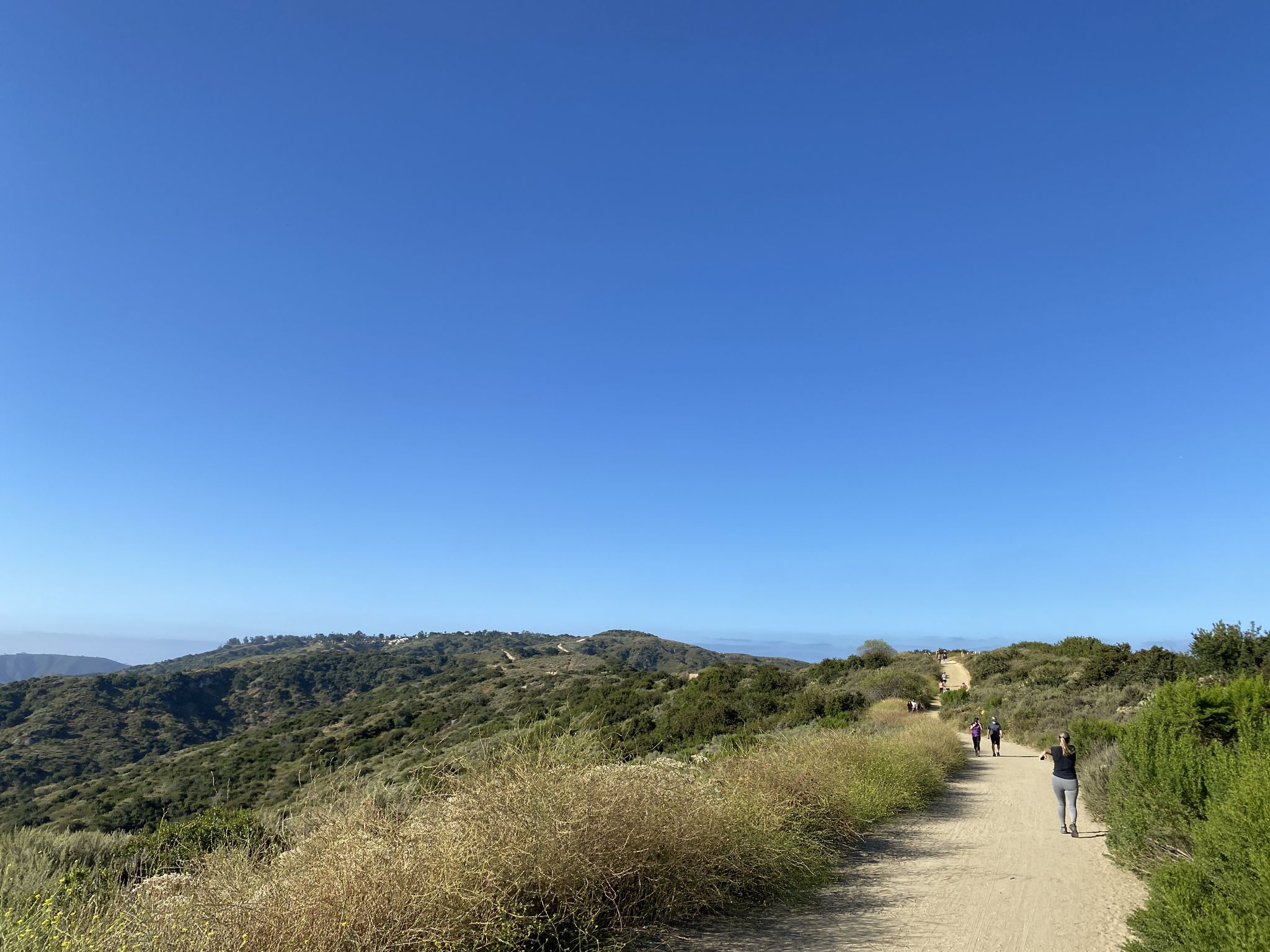 Hikers on a wide dirt path winding through sunny, brush-covered hills. - Wood Canyon and Rock-It Loop