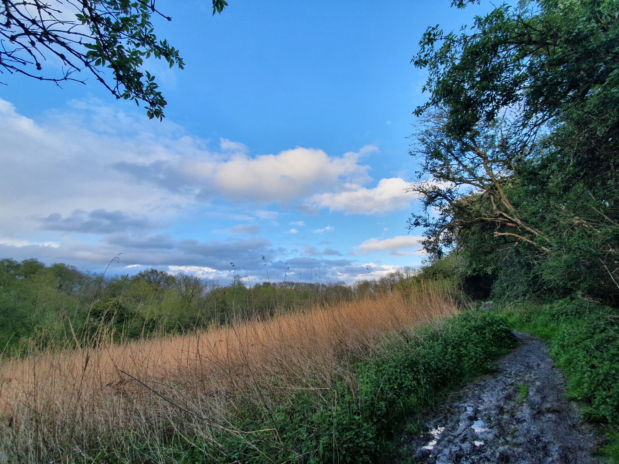 Hinksey Heights Nature Park loop | hike | Komoot