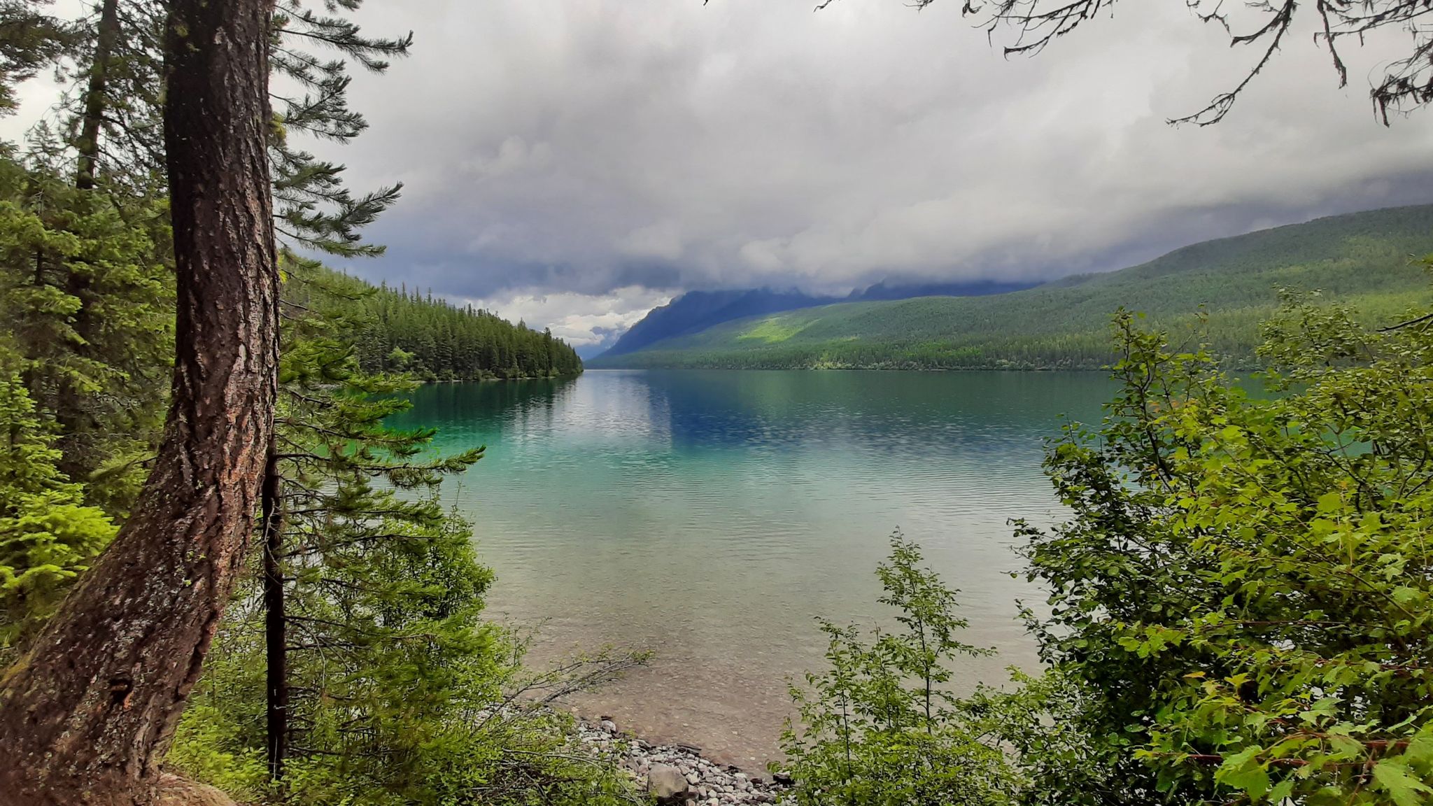 Turquoise lake surrounded by dense forest and mountains under a cloudy sky. - Bowman Lake Trail
