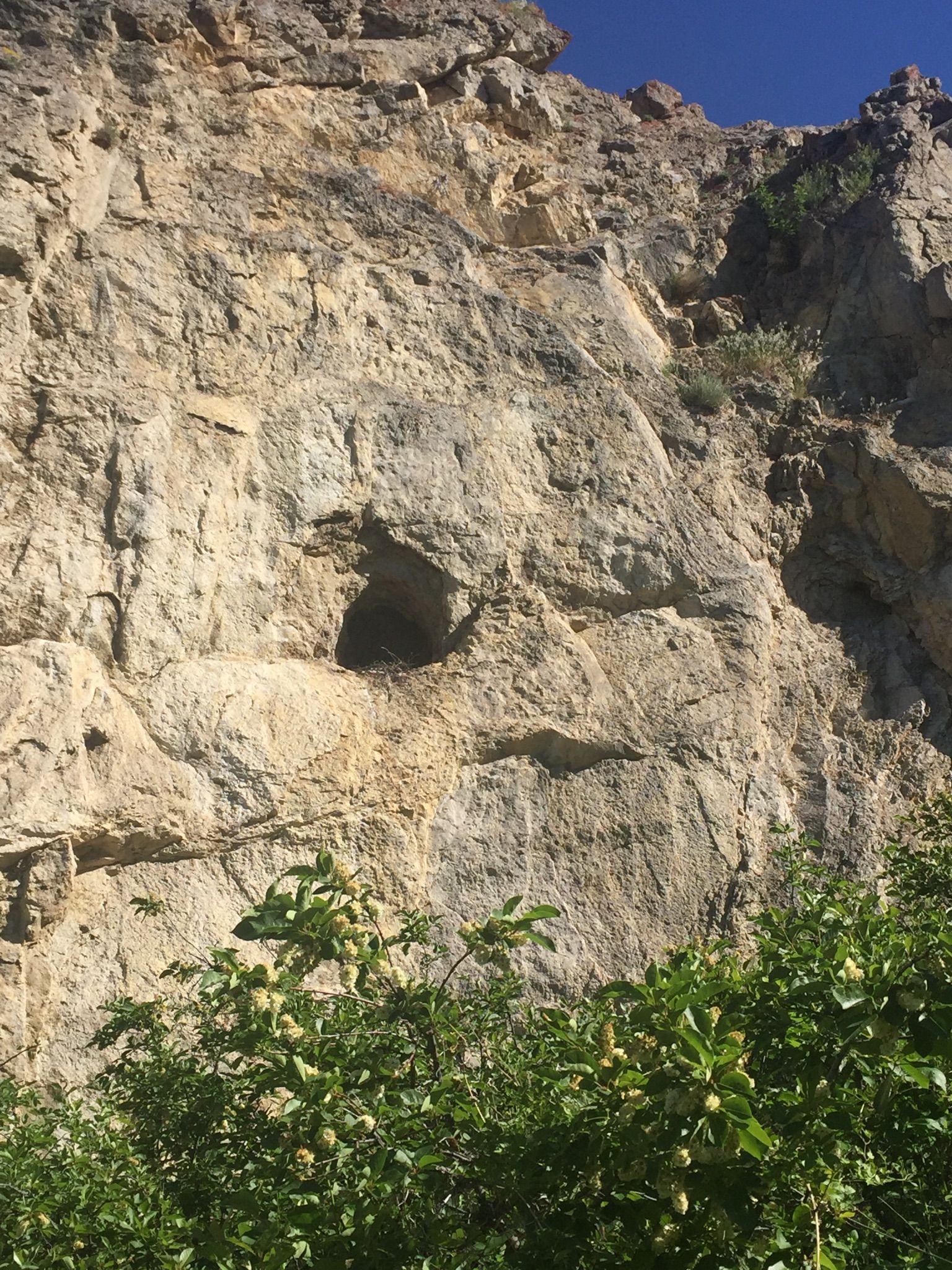 Sunlight illuminates a rugged rock cliff with a small cave and green foliage below. - College 'M' Trail