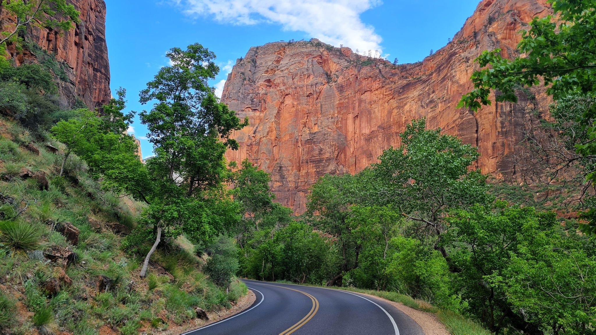Winding road through a canyon with towering red cliffs and lush green trees. - Temple of Sinawava – Temple of Sinawava loop from Menu Falls