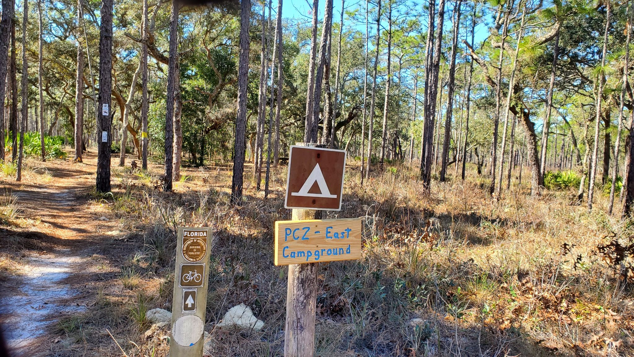 Wooden campground sign on a dirt path in a sunny pine forest. - Sinkhole or Mine Pit – Sugar Mountain Loop loop from Silver Lake Camping