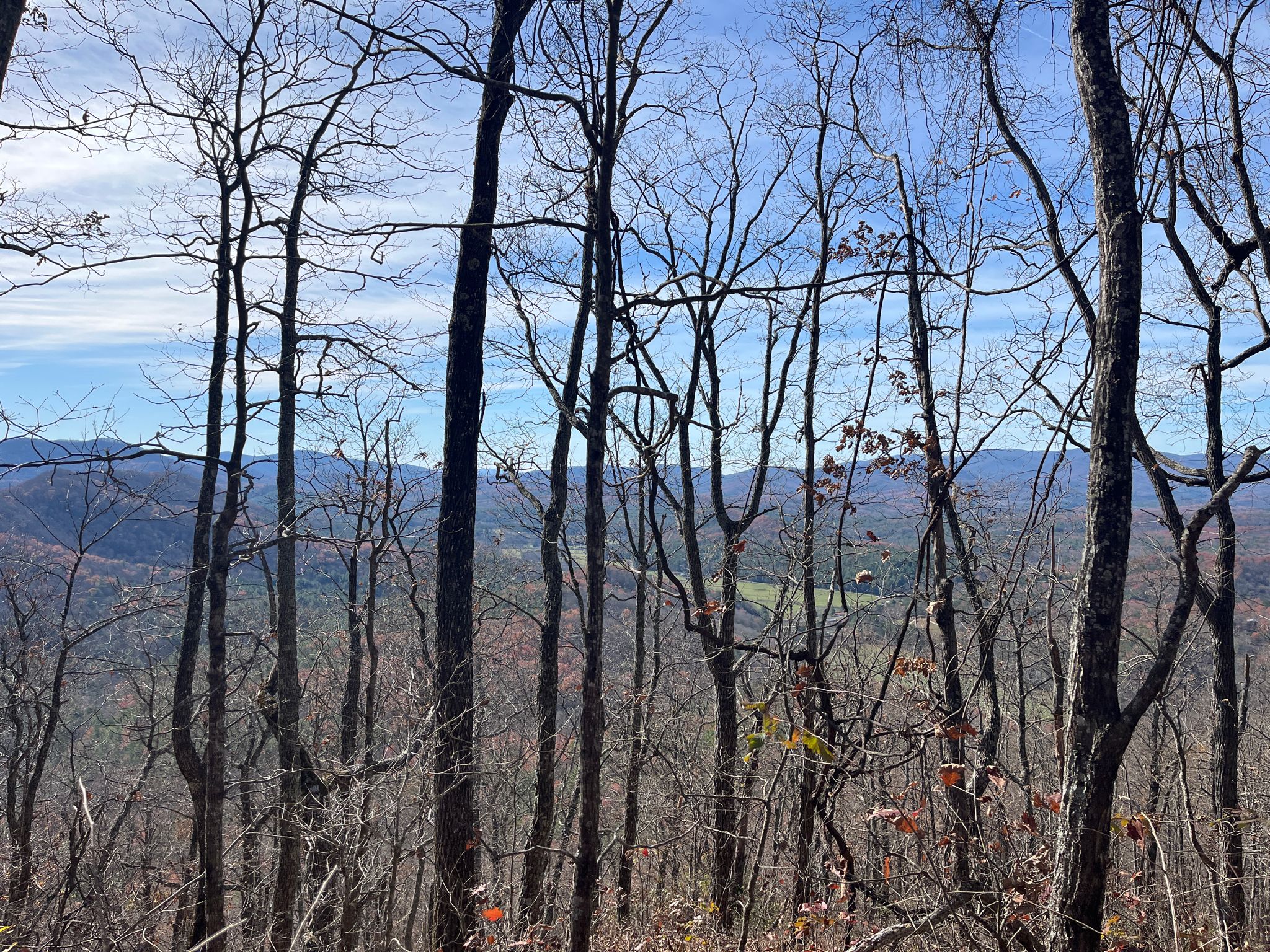 Bare trees frame a distant mountain range under a bright blue sky. - Benton MacKaye Trail: GA 60 to Wilscot Gap
