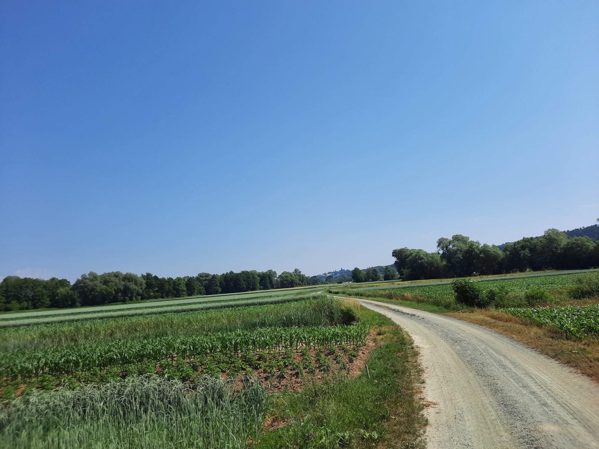 Der Weg führt durch wunderschöne Felder