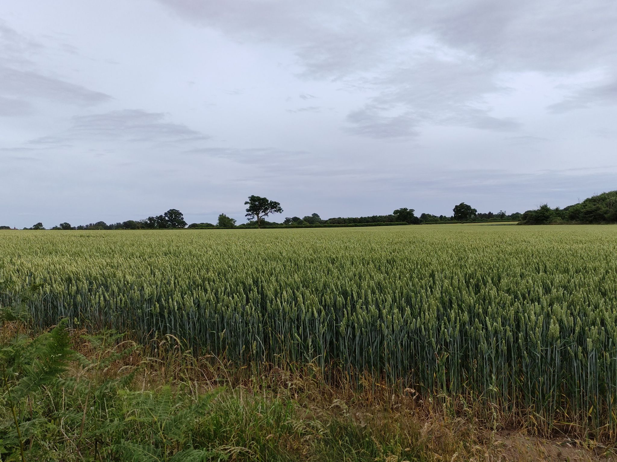weites Land