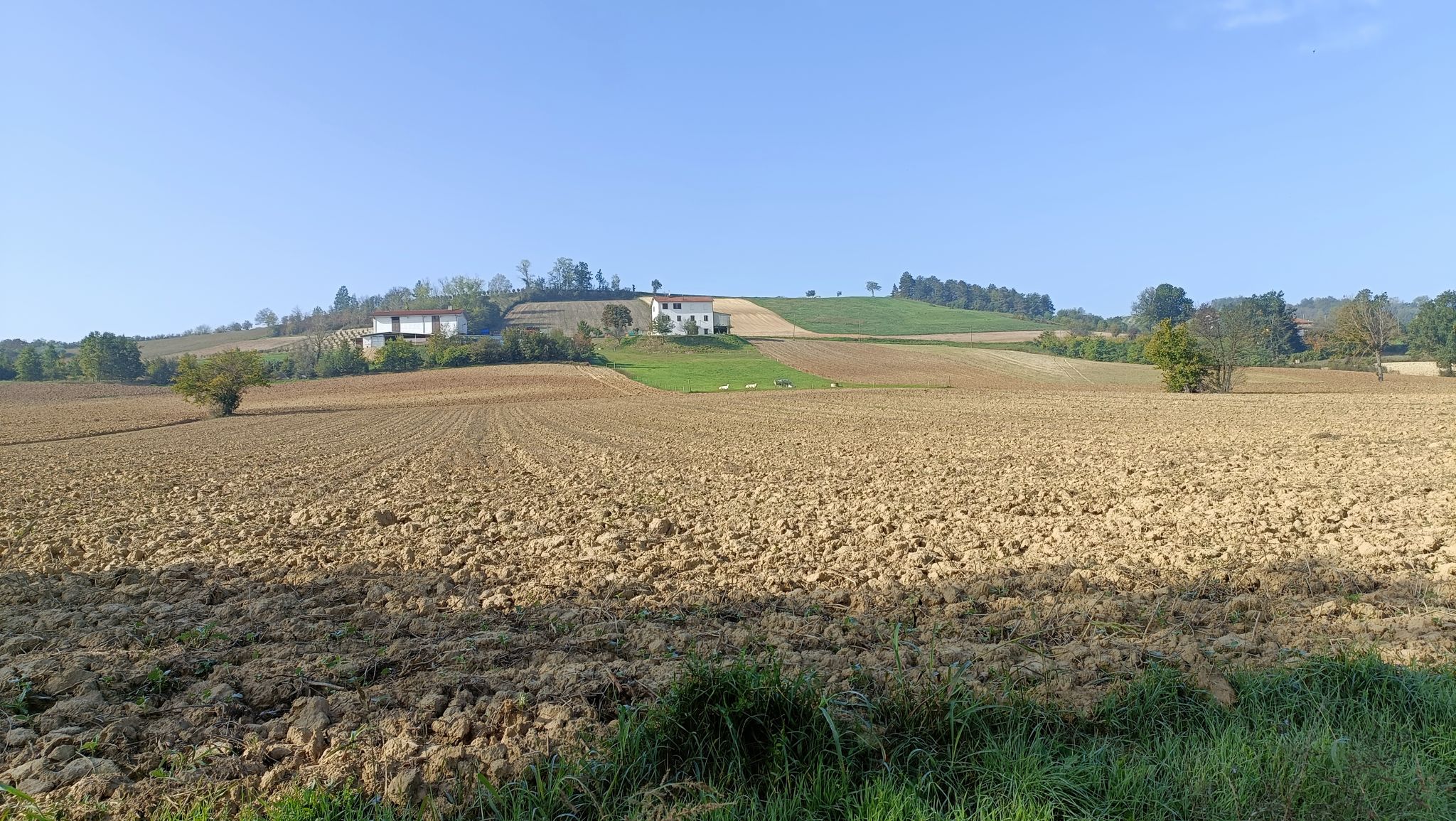 Vista su Castell'Alfero