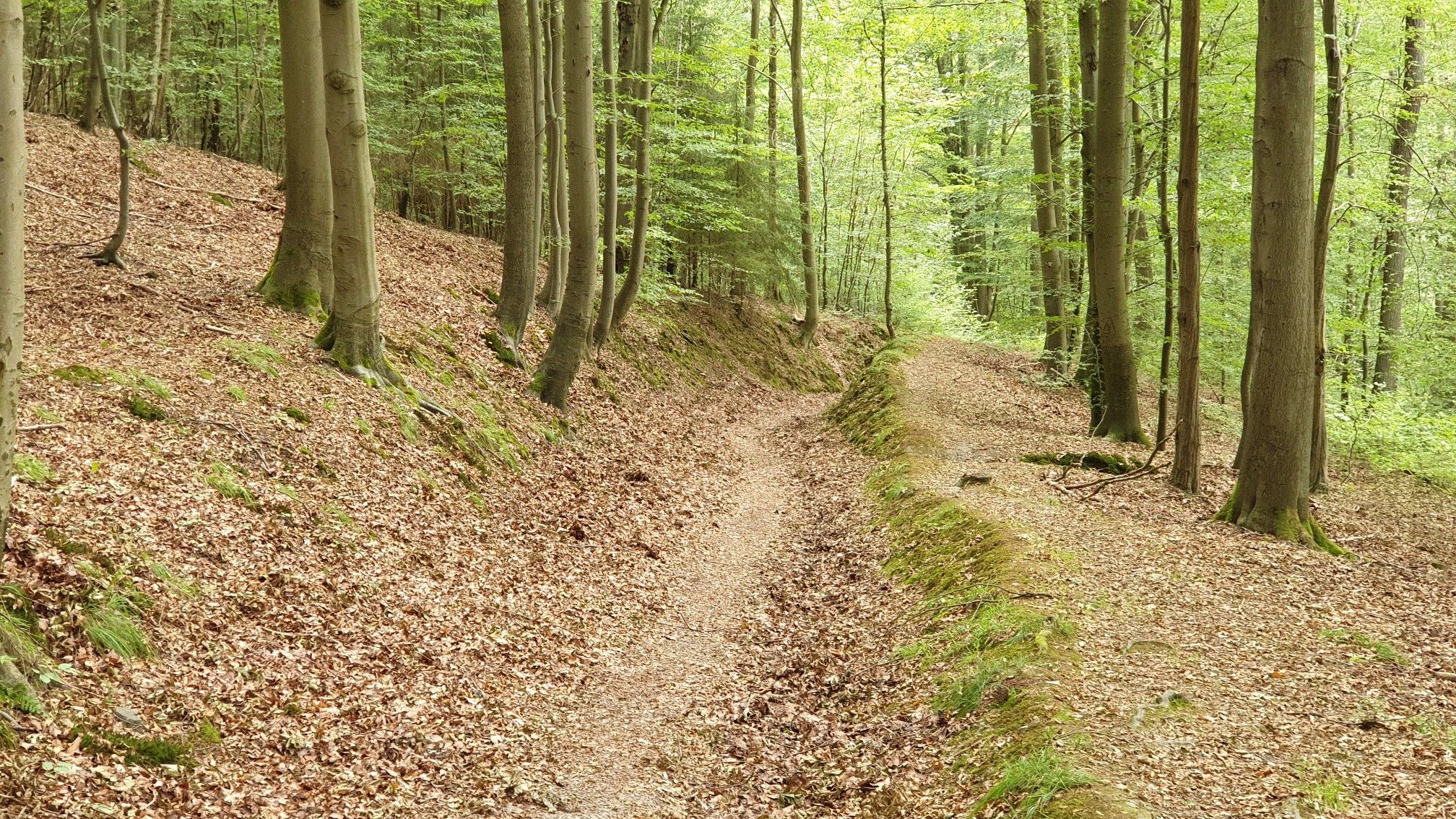 einfach nur sagenhaft schön