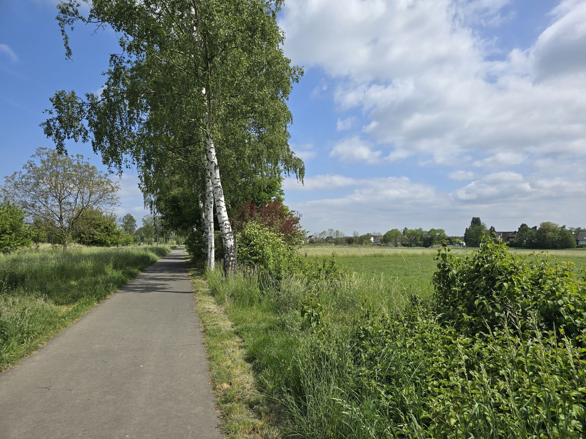 Krebsbach Weg
