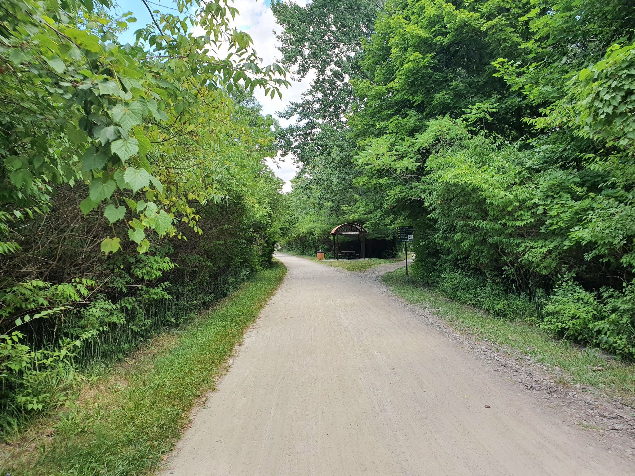 A dirt path winds through a dense green forest towards a distant structure. - PCT to Cidermill loop from Rochester