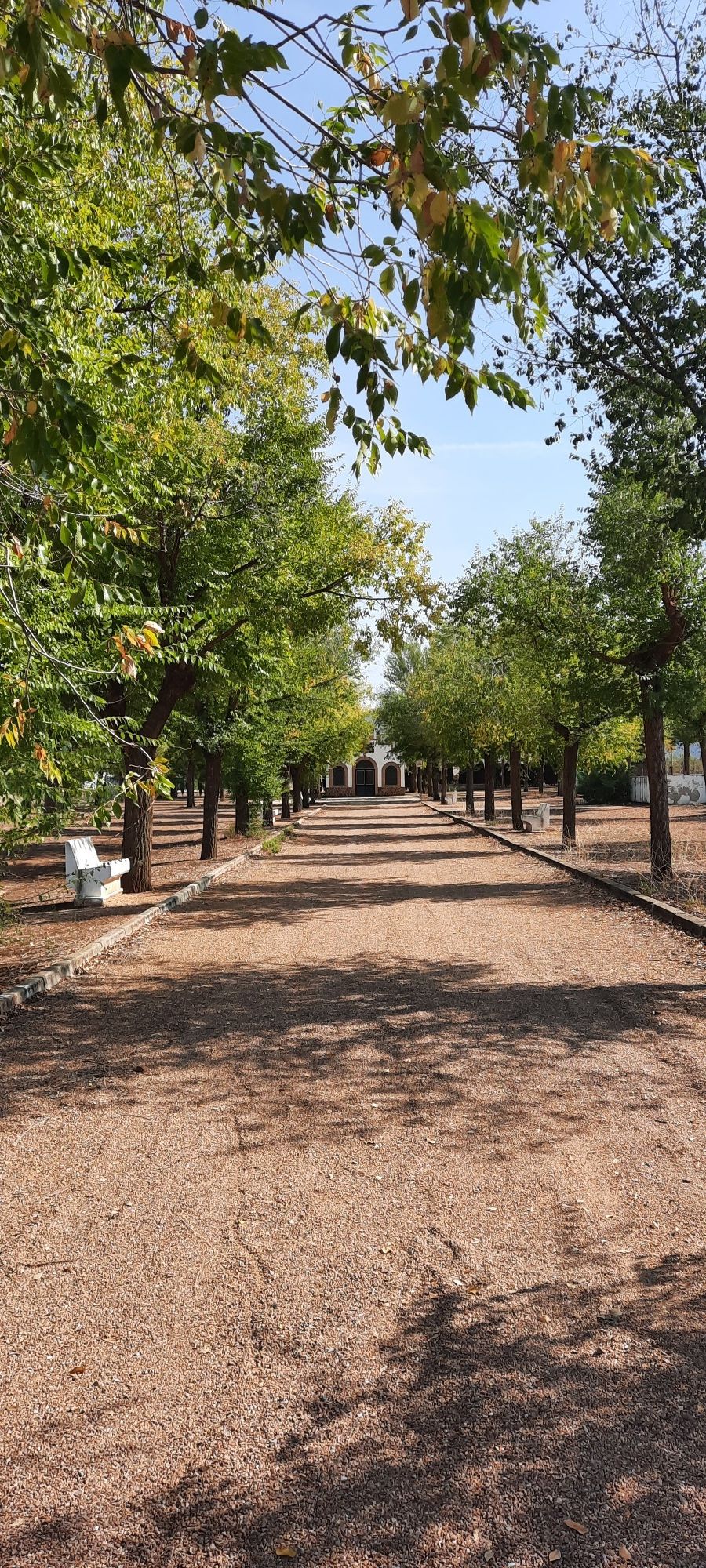 Ermita de San Isidro (Argamasilla Ctva)
