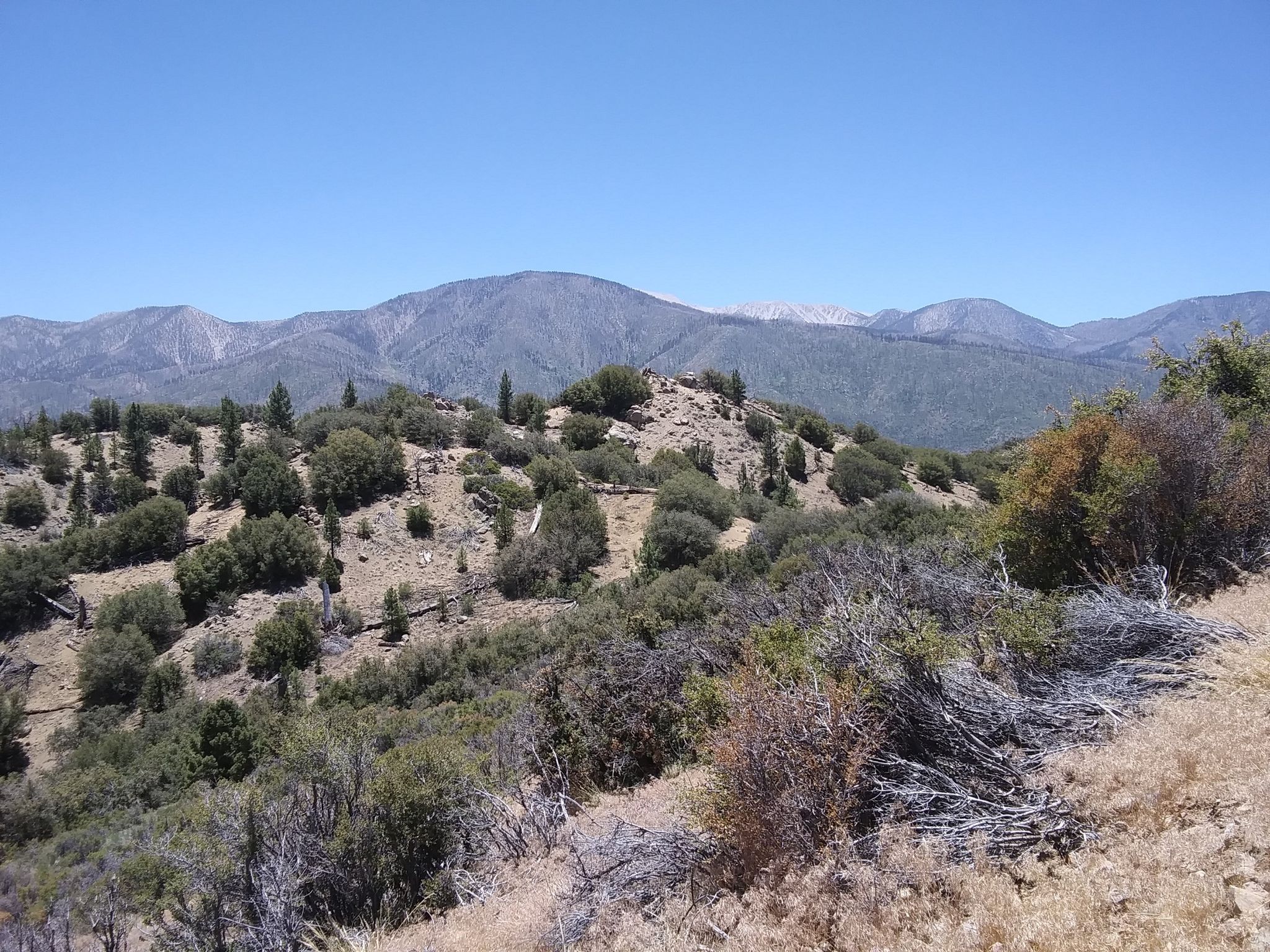 Sunny mountain landscape with rolling hills, sparse trees, and distant peaks. - Sugarloaf Mountain and Wildhorse Creek Loop