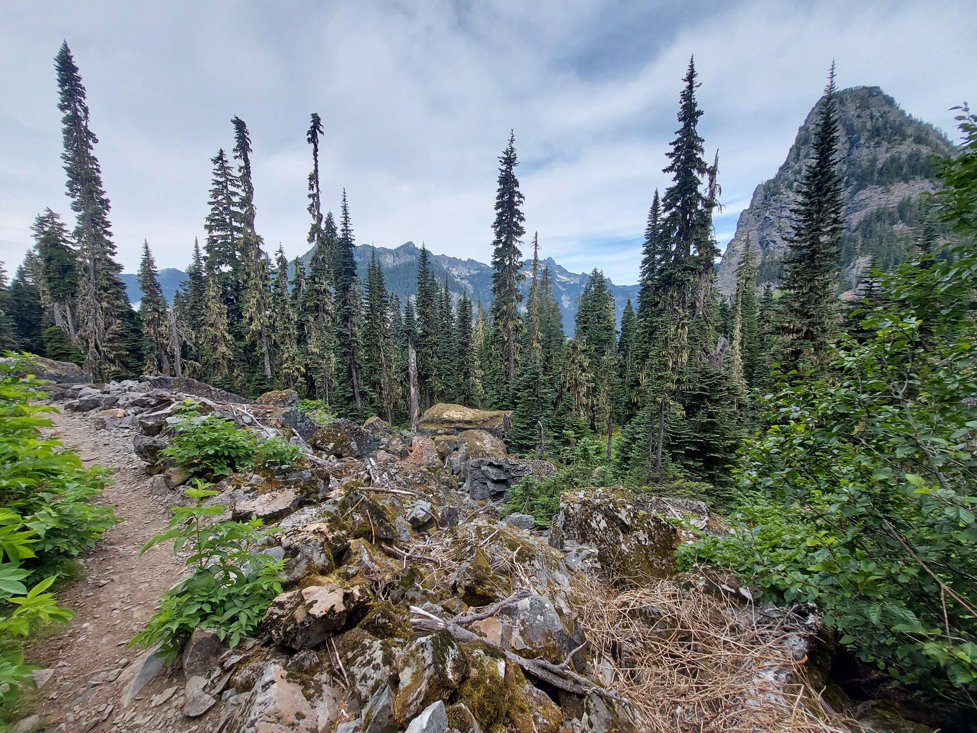 A narrow dirt path through a rocky, forested landscape with tall evergreen trees. - PCT to Kendall Peak loop from Snoqualmie Pass