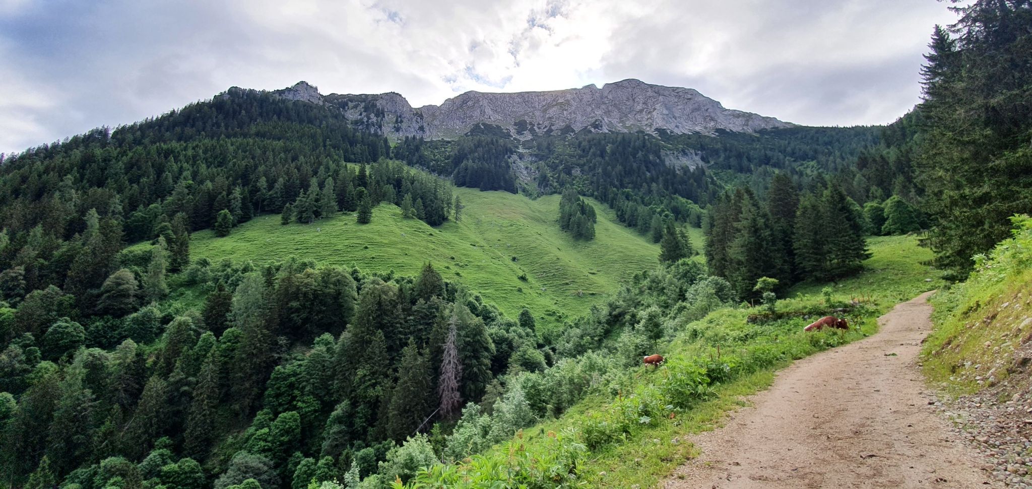 Blick auf das hohe Brett 