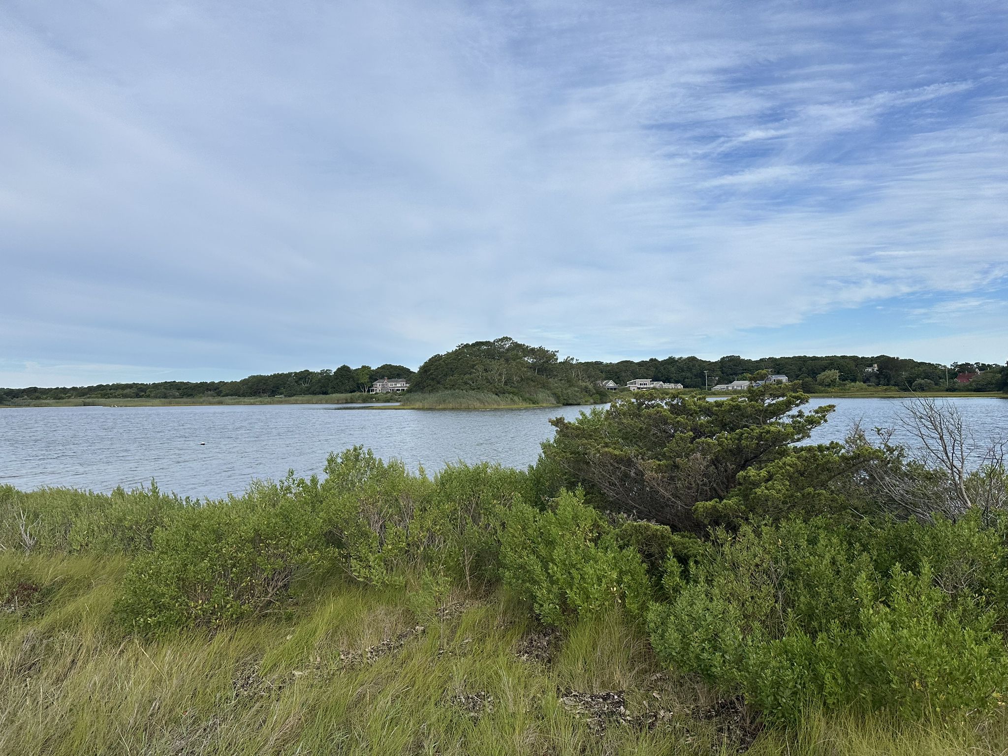 Calm water with green bushes in foreground, distant land, cloudy sky. - Joseph Sylvia State Beach – Harts Harbor loop from Edgartown