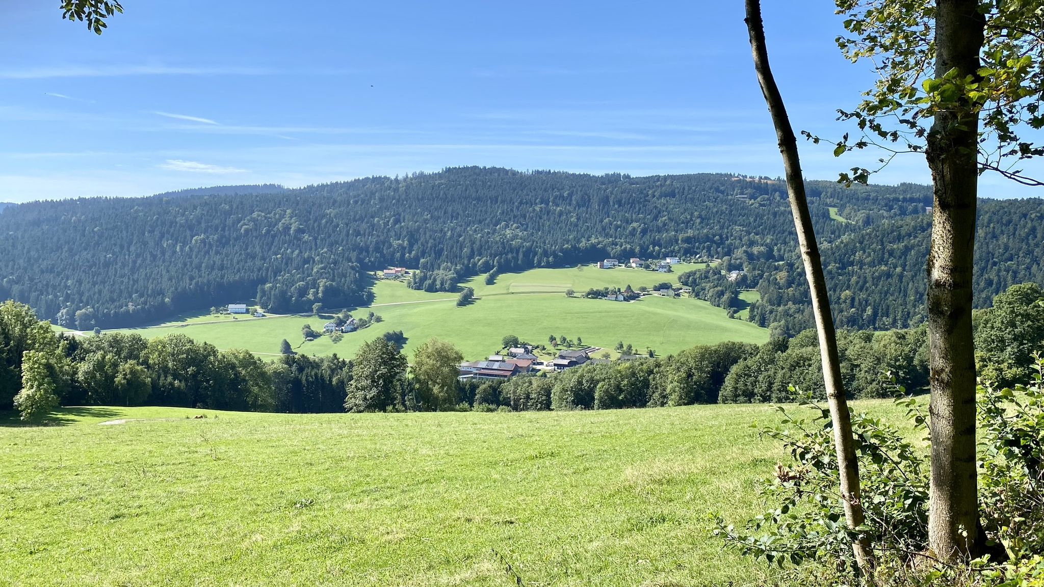 West: Pfarrwald, Siedlungen "Krien"