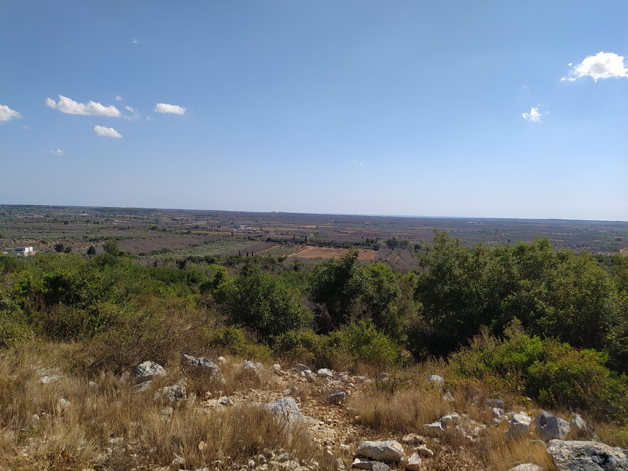 panorama