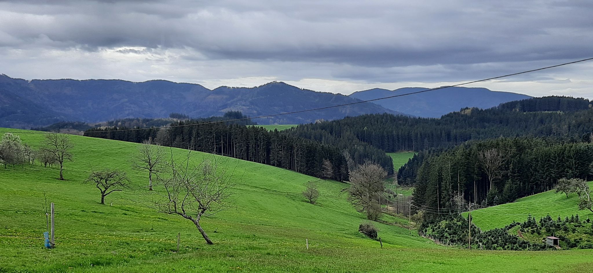 Blick Richtung Elztal im Hintergrund der Hörnleberg