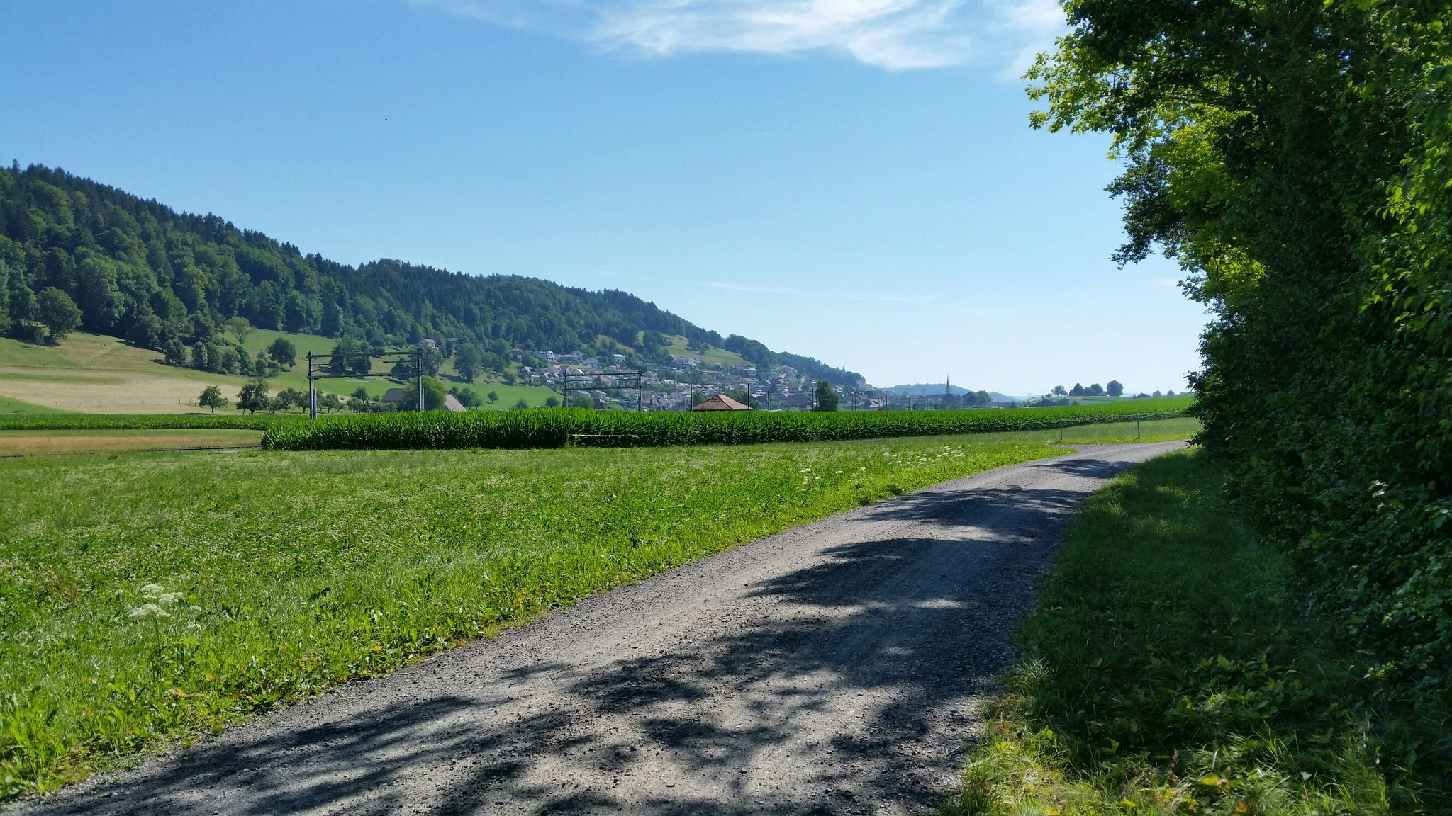Egoltswil