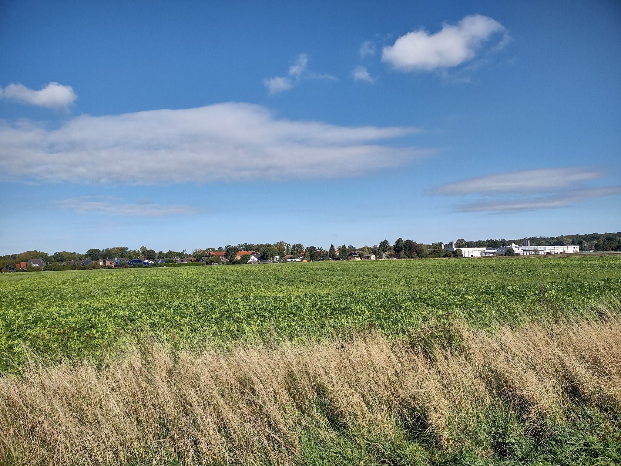 Blick auf Mariental-Horst. Rechts die Bäckerei Steinecke.