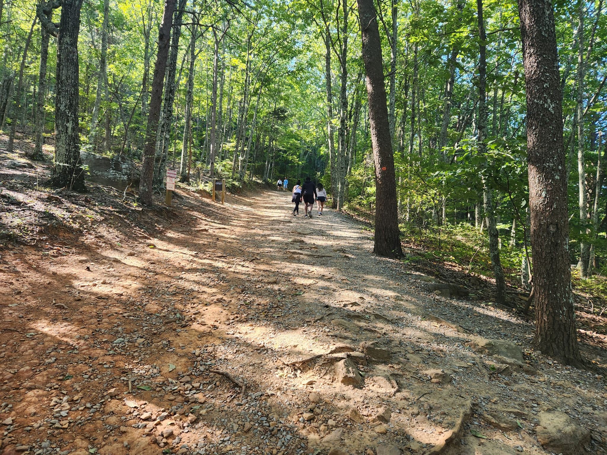 Group of people walking on a wide dirt path through a green forest. - Backside Trail