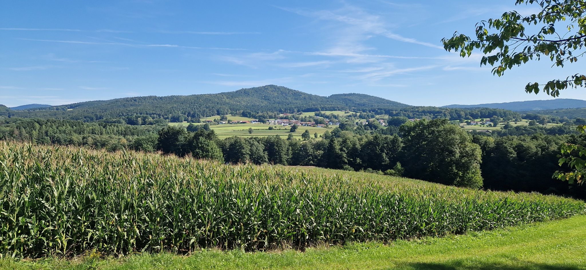 Blick auf Pirka und den Kronberg