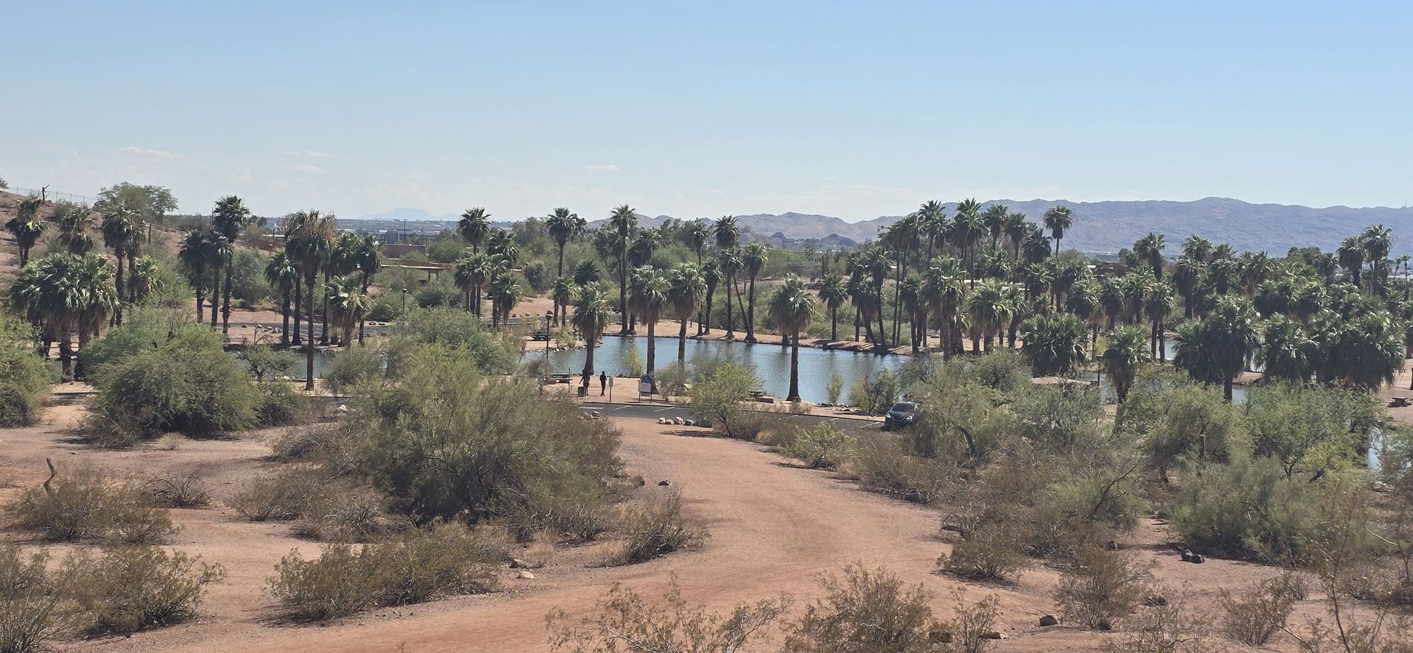 A desert lake surrounded by palm trees and brush under a clear sky. - Papago Park – Hole in the Rock loop from Scottsdale