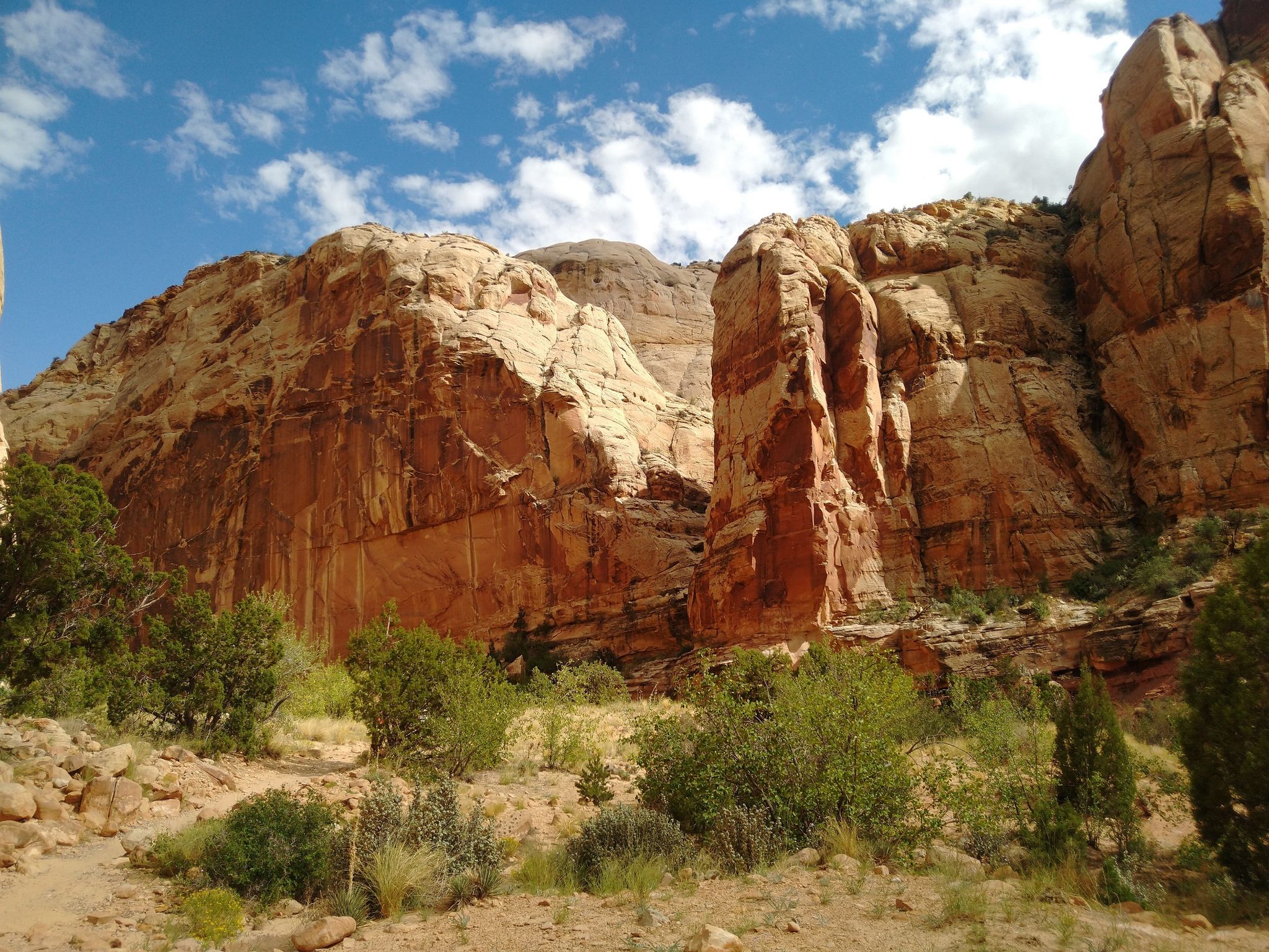 Towering red rock cliffs and desert vegetation under a bright blue sky. - Water Tanks at Capitol Reef National Park – Trailhead Capitol Gorge Trail loop from Golden Throne Trailhead