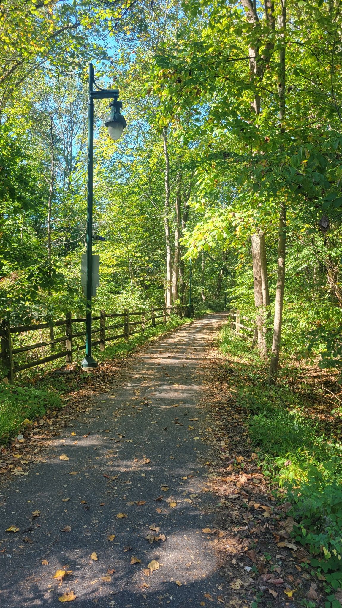 Paved path through sunlit green woods with a lamppost and wooden fence. - Olan Thomas Park loop from Newark
