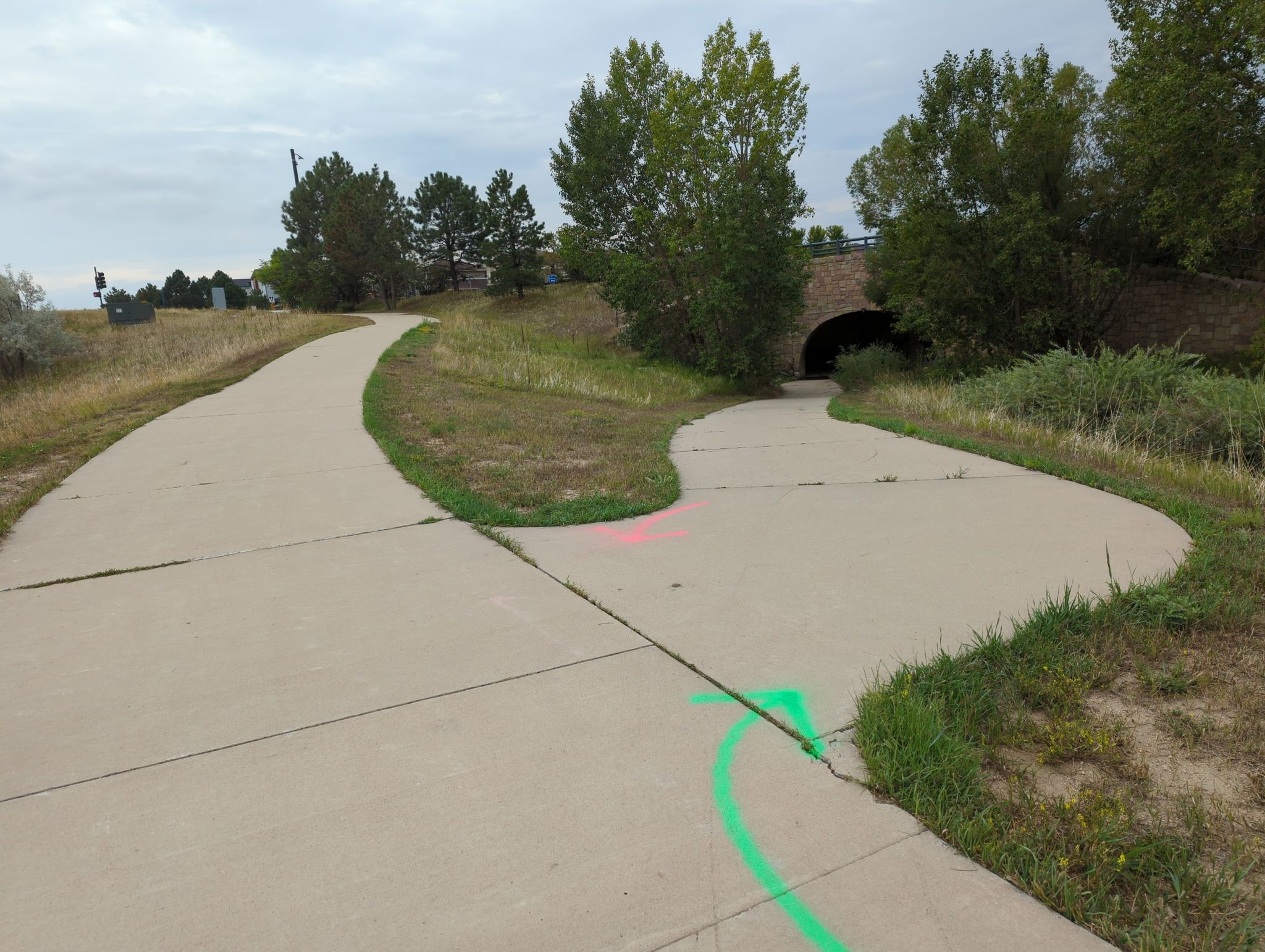 Fork in a paved path, one branch leads to an underpass. - East Plum Creek Trail