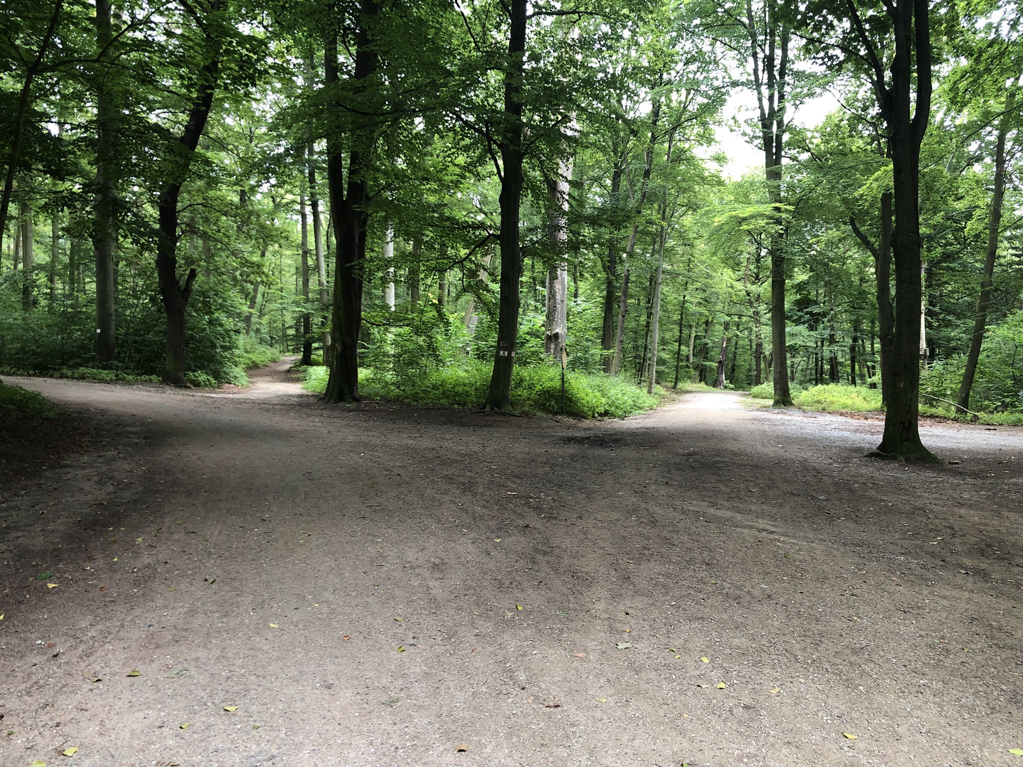 Alles offen