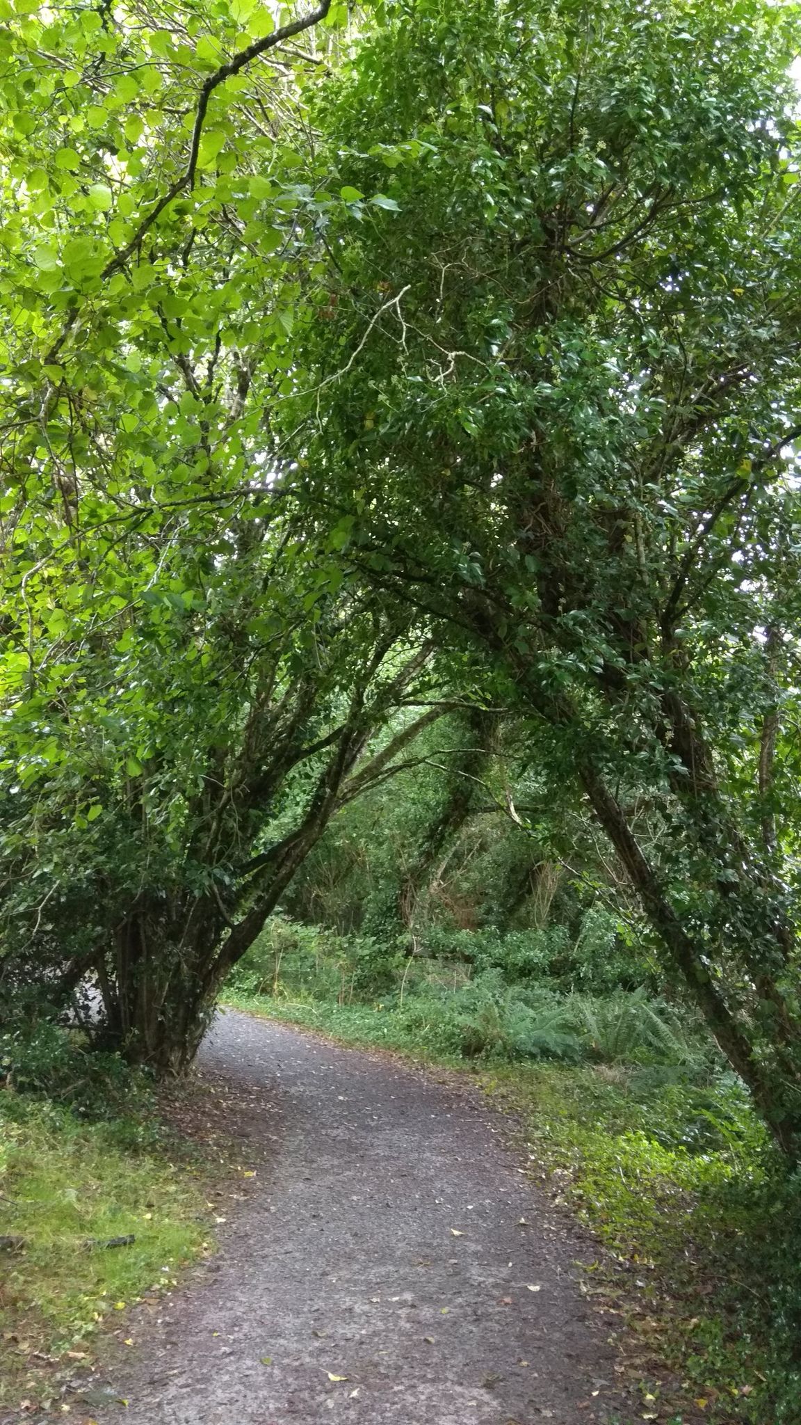 along the path