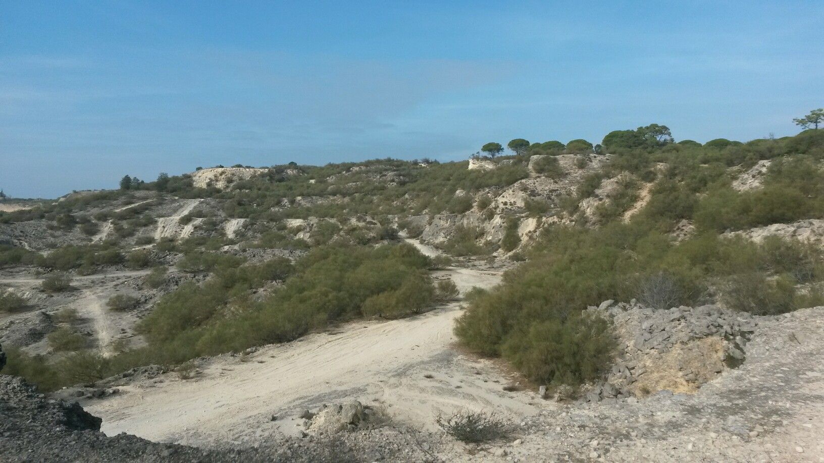Trails everywhere...