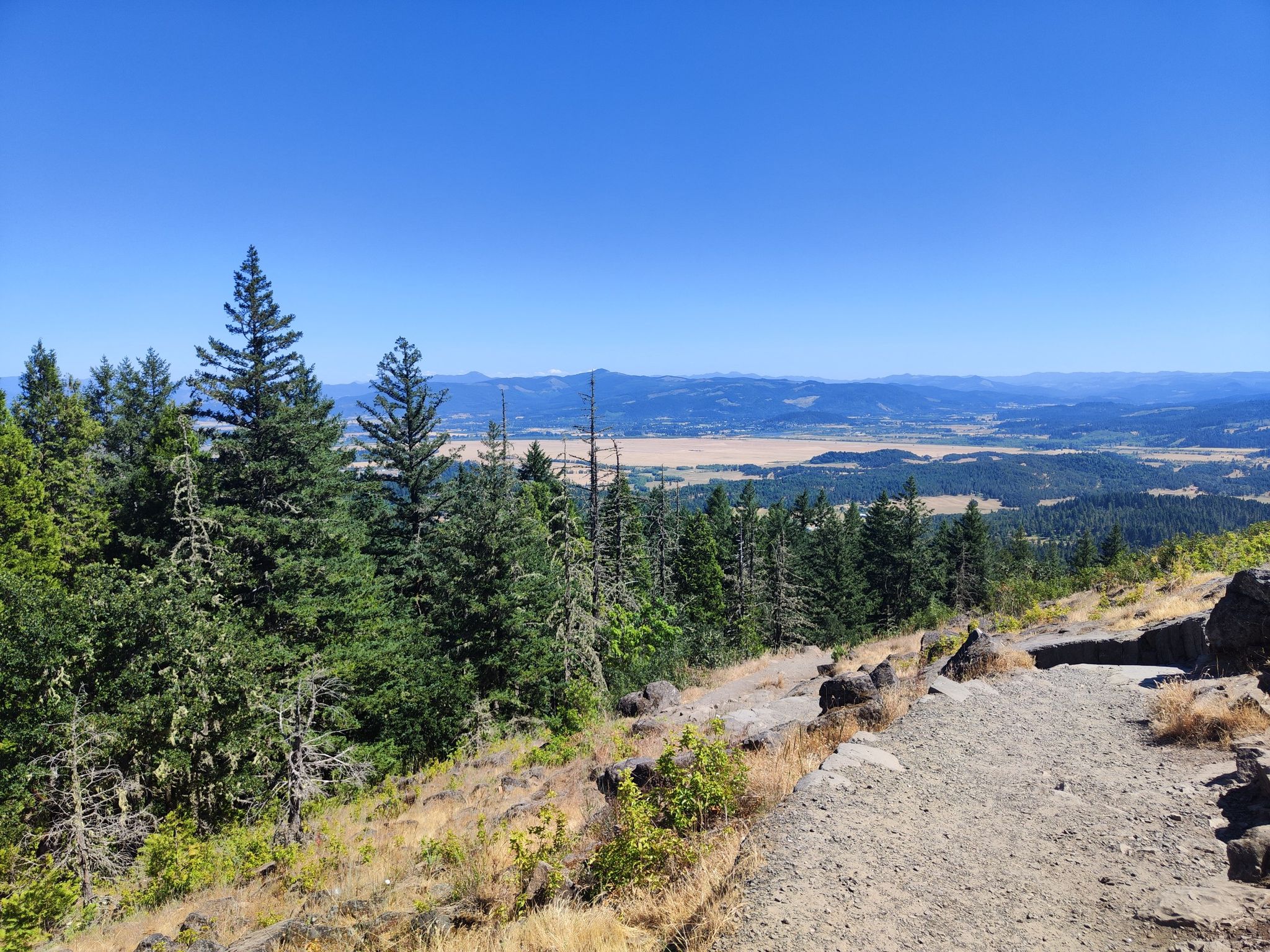 Panoramic view of a forested hillside overlooking a vast valley under clear skies. - Spencer Butte Summit Trail