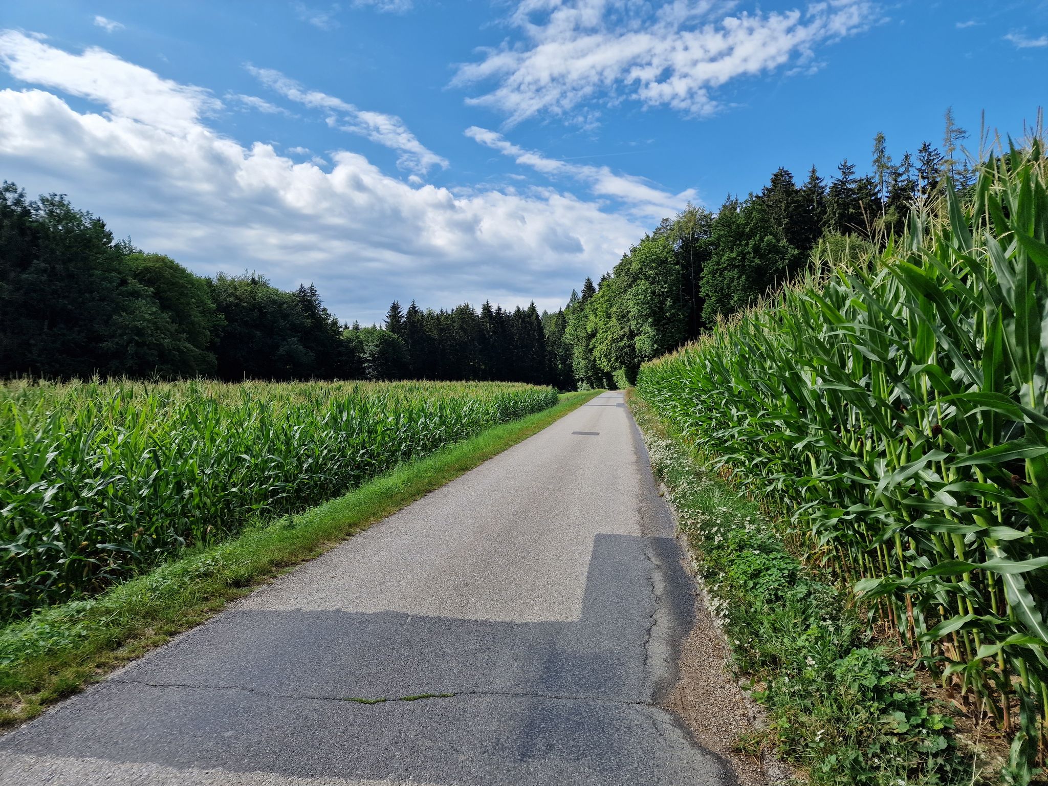 Perschlingtal Radweg
