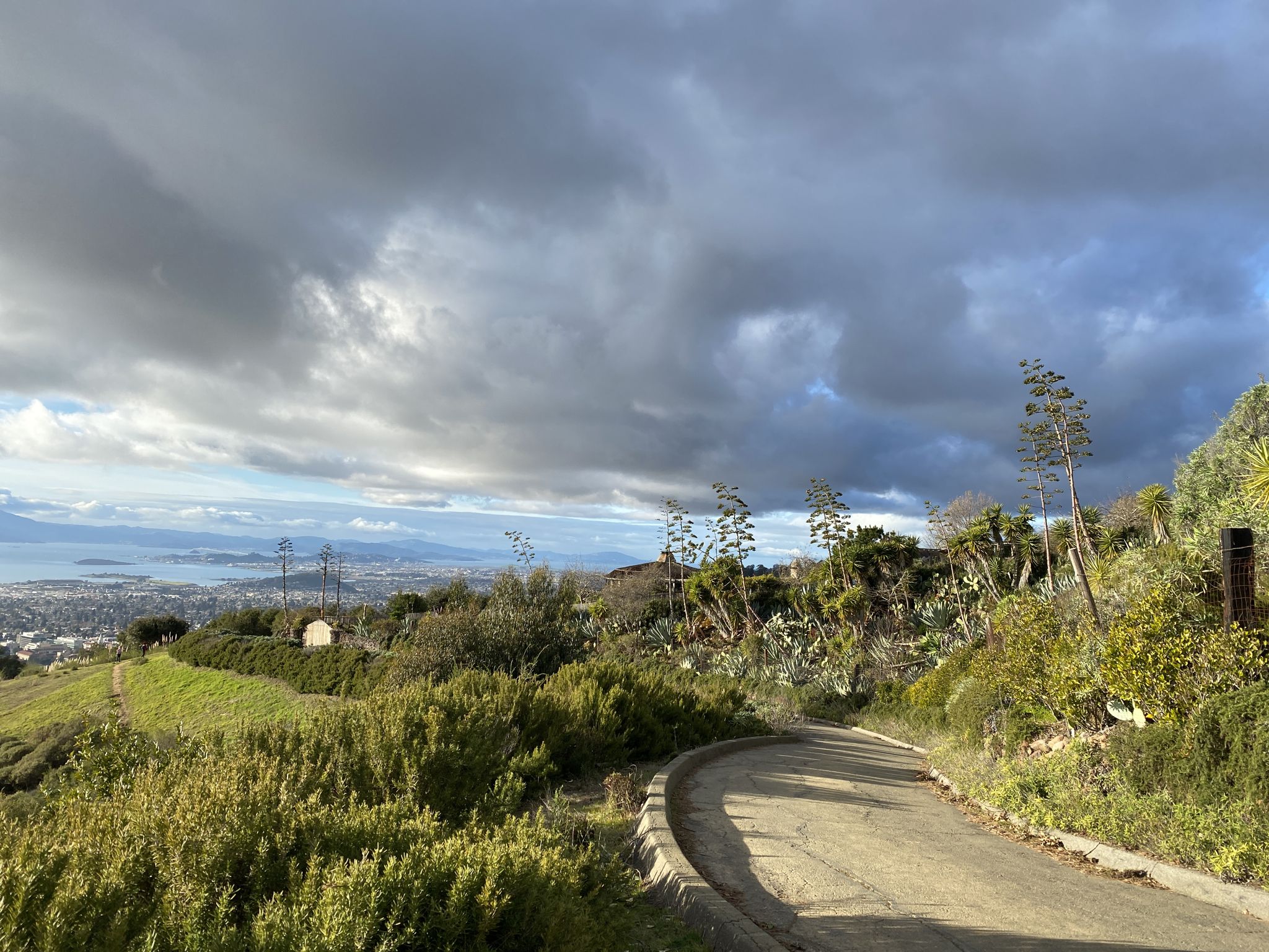 Winding paved road on a green hillside under dramatic, cloudy skies. - Chaparral Peak via Stonewall-Panoramic Trail