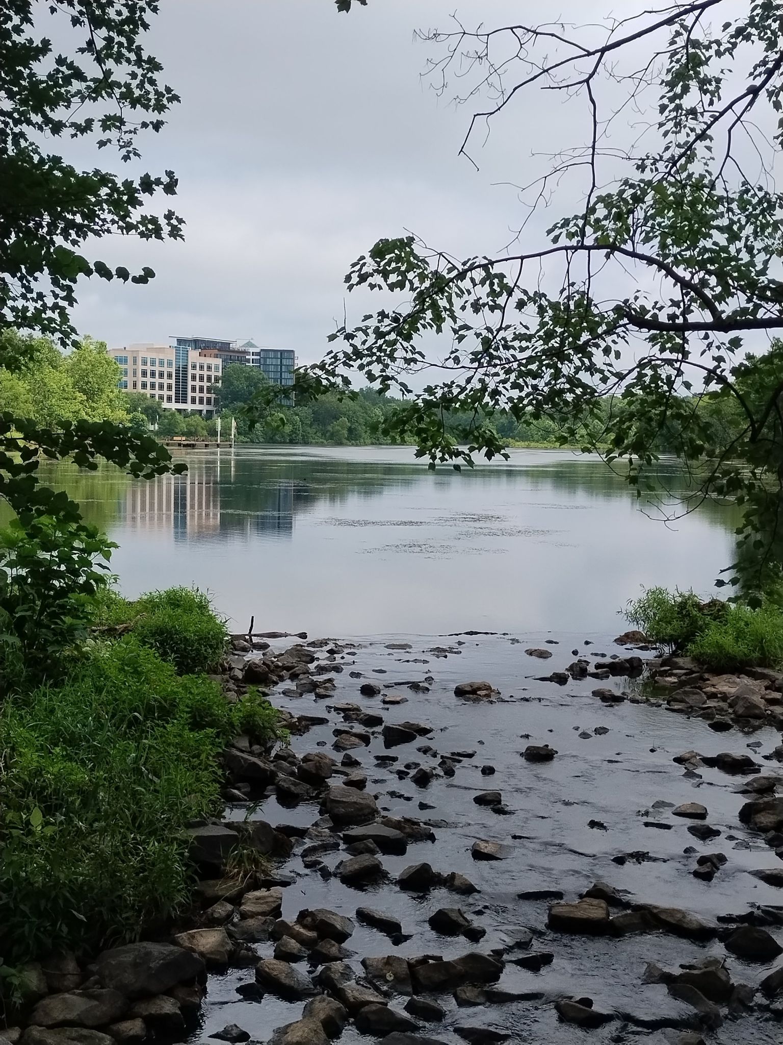 Rocky stream flowing into a calm lake with distant buildings under an overcast sky. - Wilde Lake and Lake Kittamaqundi Loop