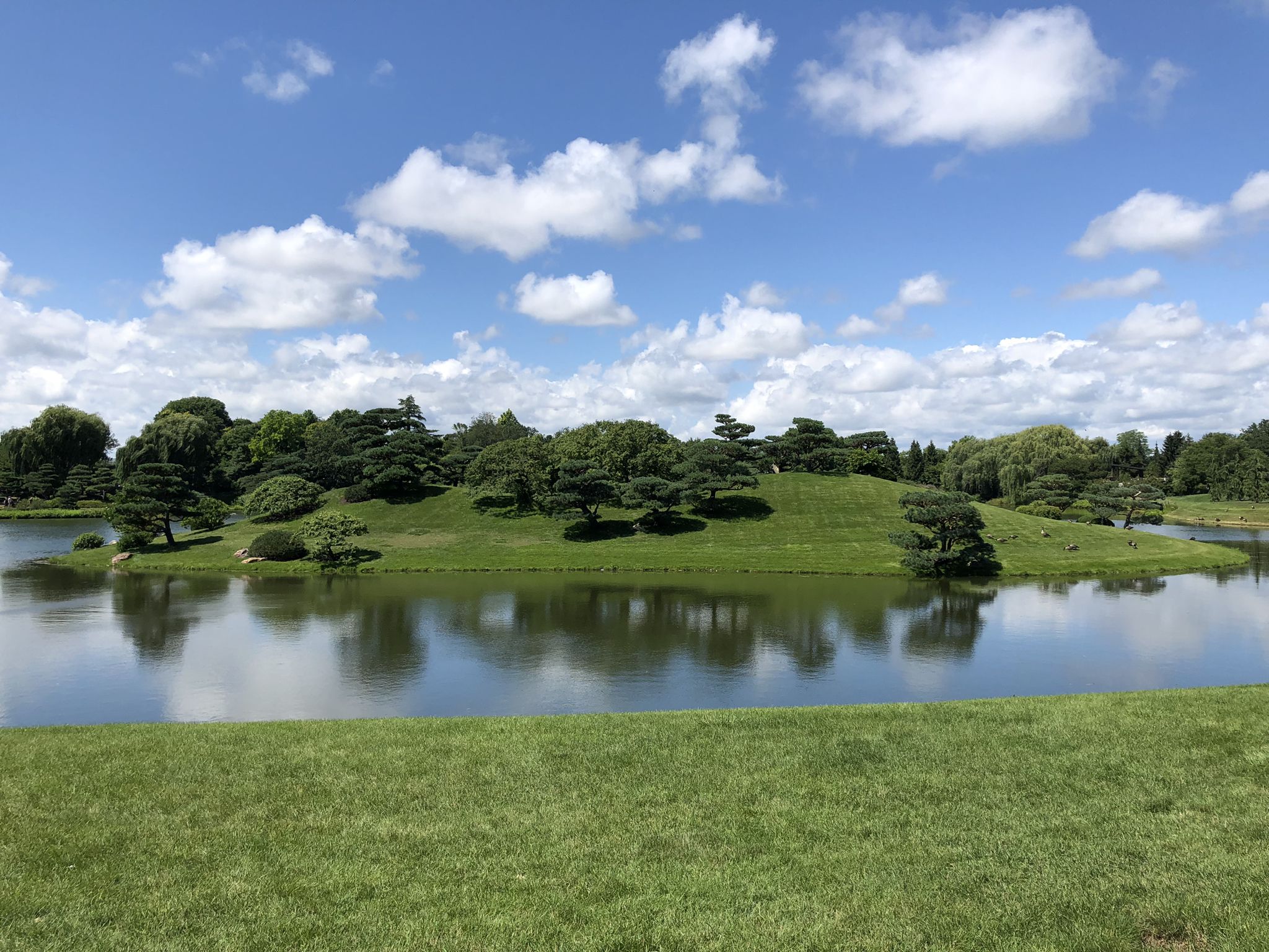 A sunny day over a calm lake with a tree-covered island. - North Branch Trail and Botanic Garden Loop