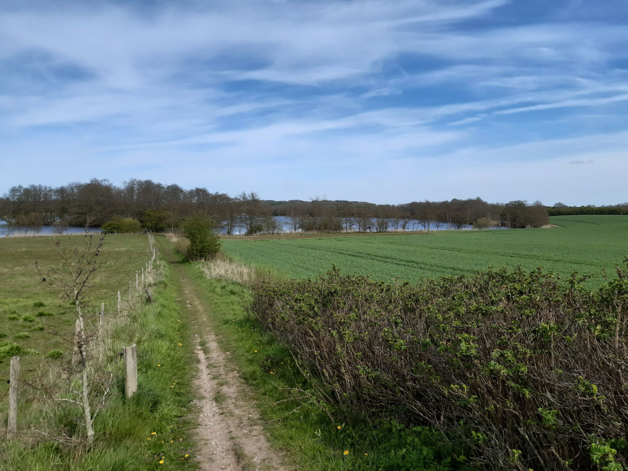 Blick zum Sankelmarker See