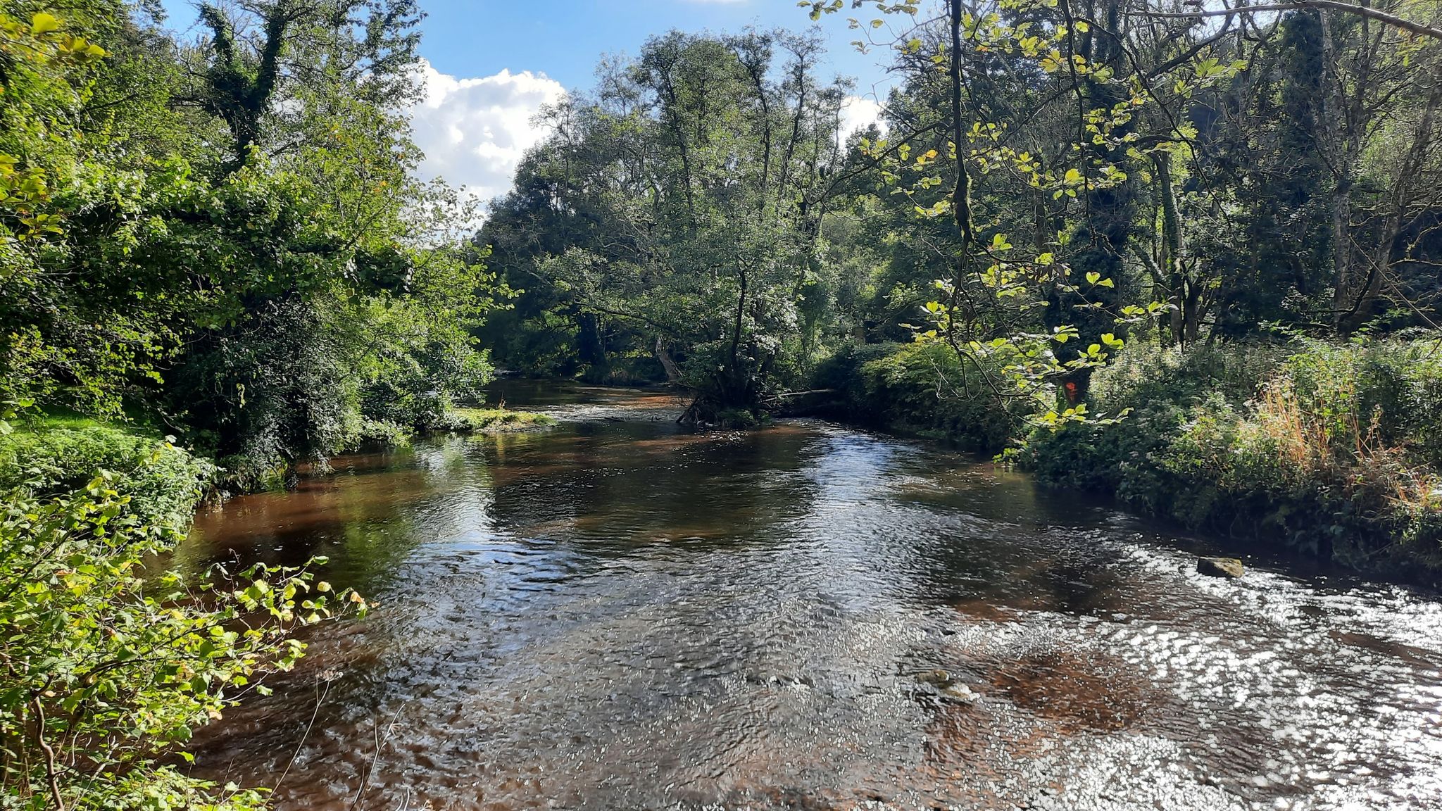 Blick vom Petit Pont