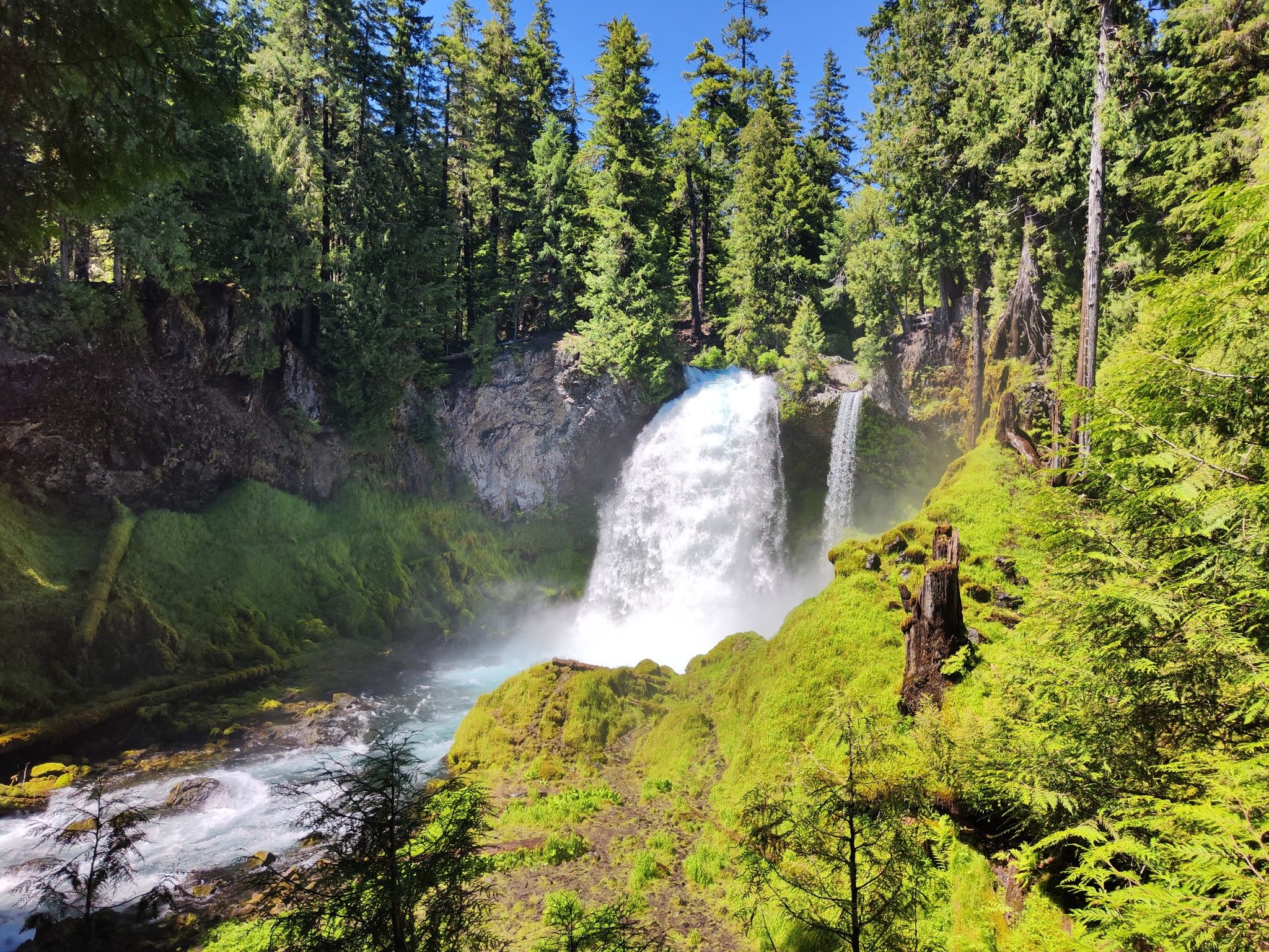 Two waterfalls cascade into a river surrounded by lush green forest on a sunny day. - Sahalie Falls, Koosah, and Tamolitch Falls via McKenzie River Trail