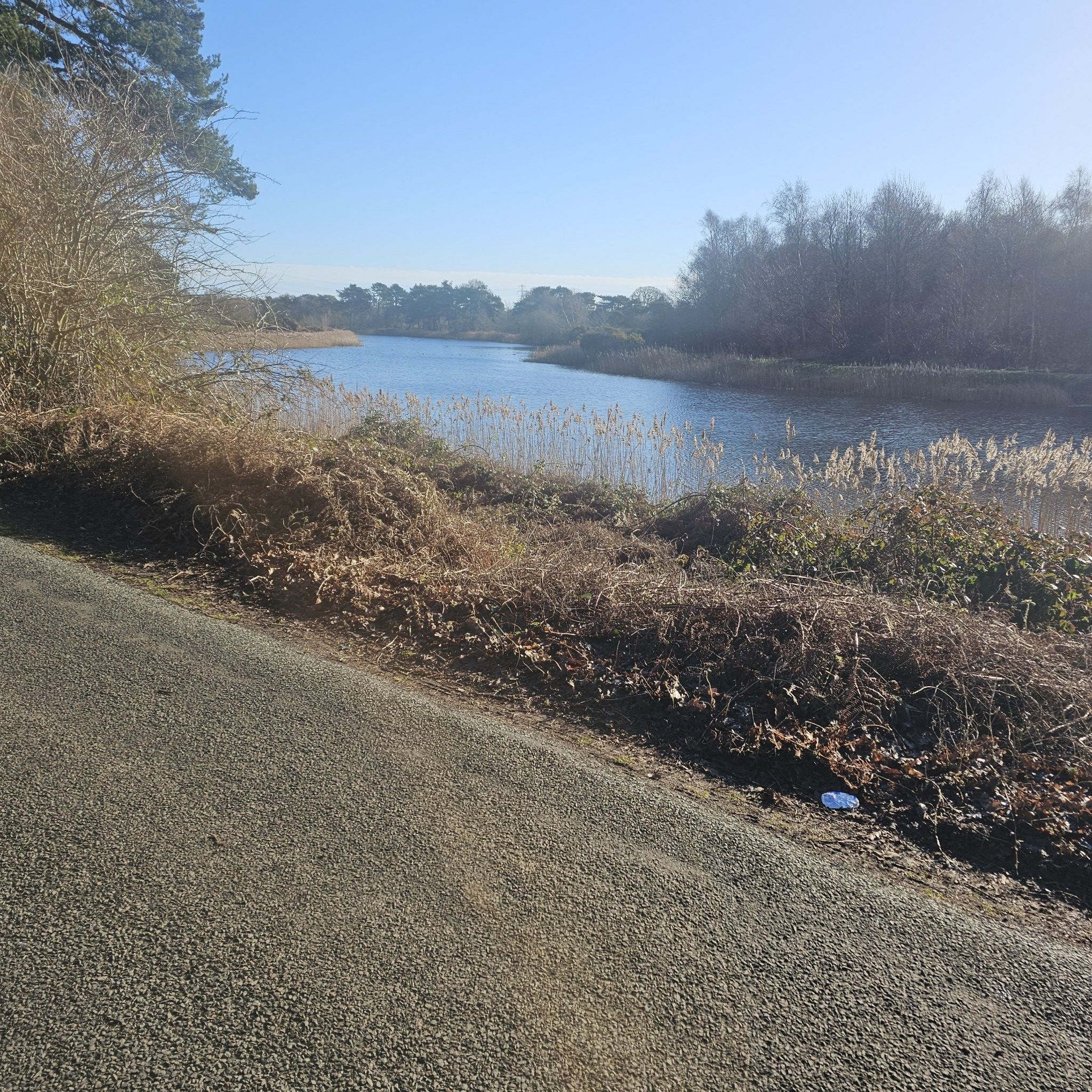 lound lakes