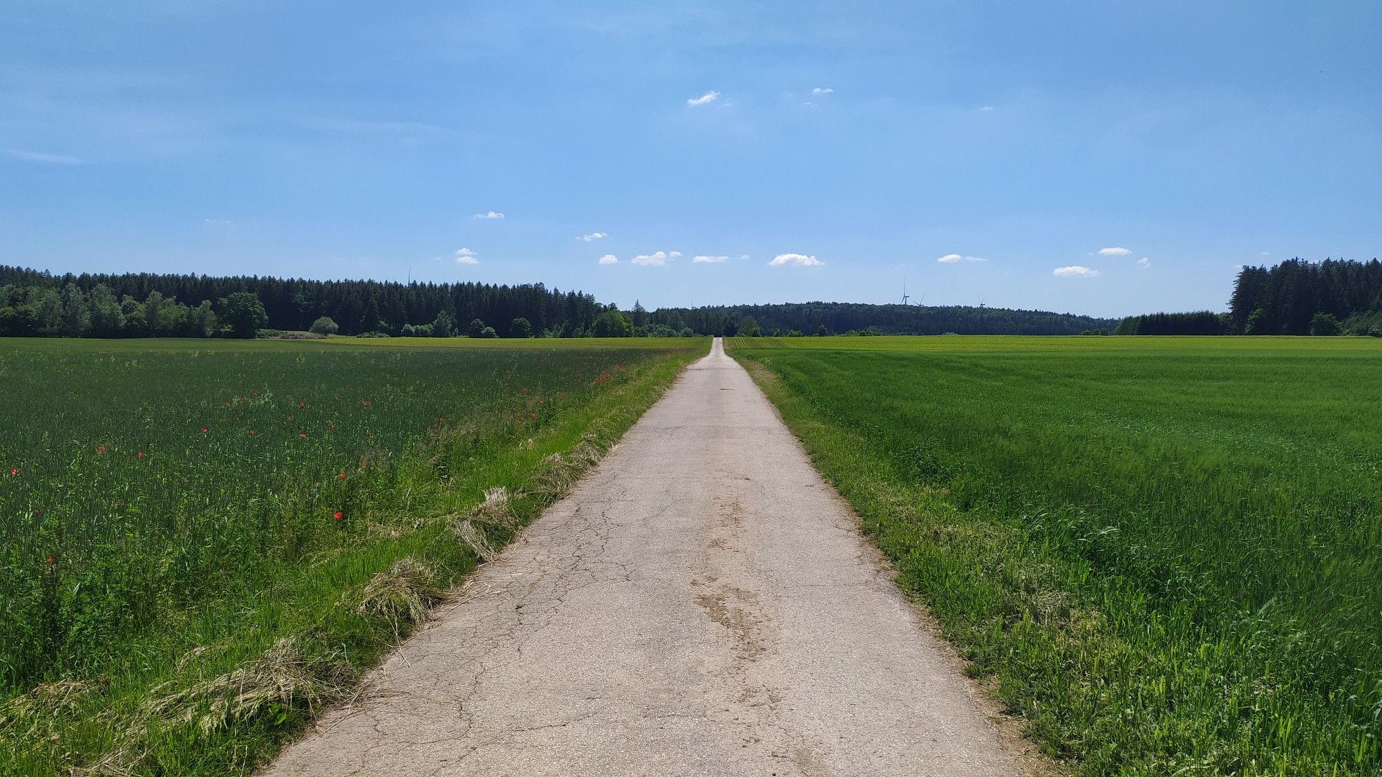 Weg zur "Römerstraße"