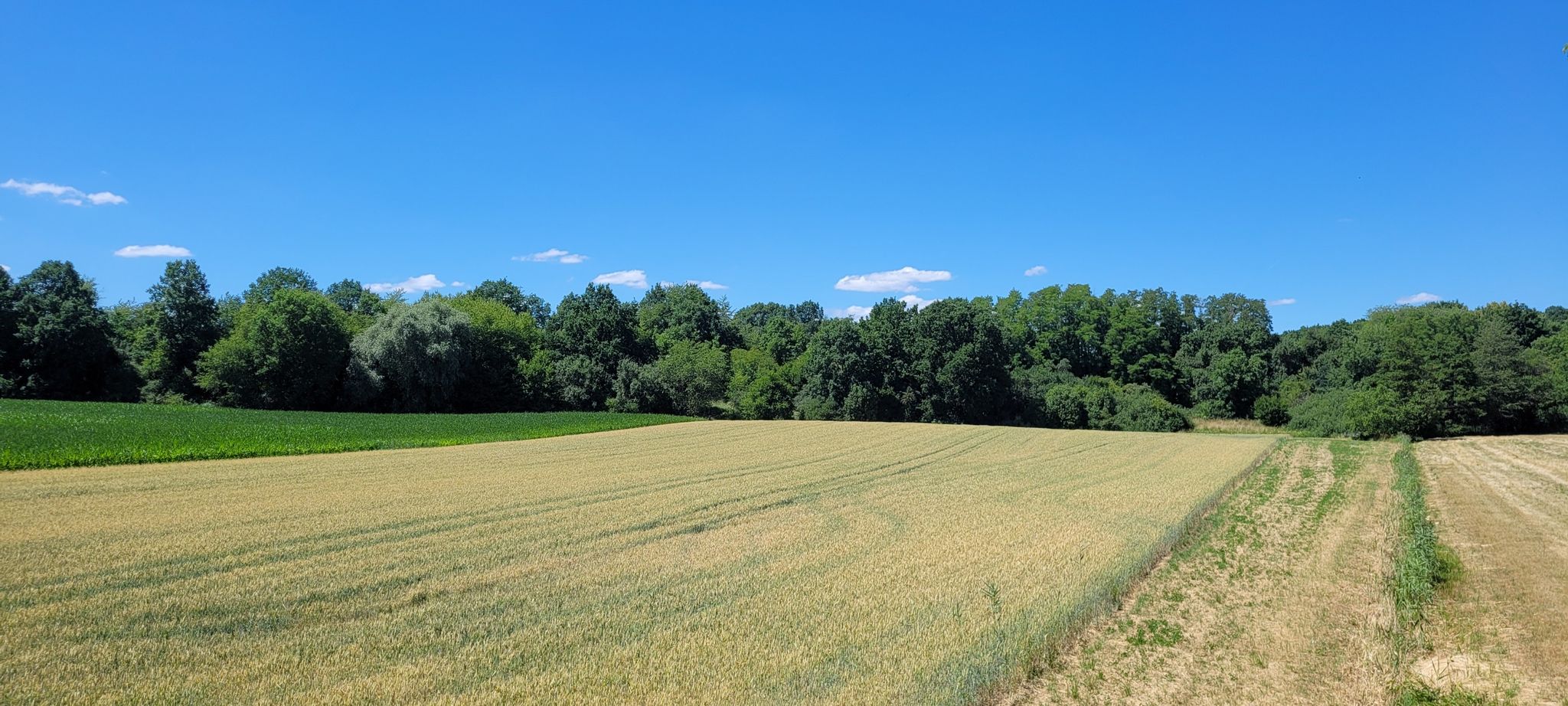 herrliches Wetter heute