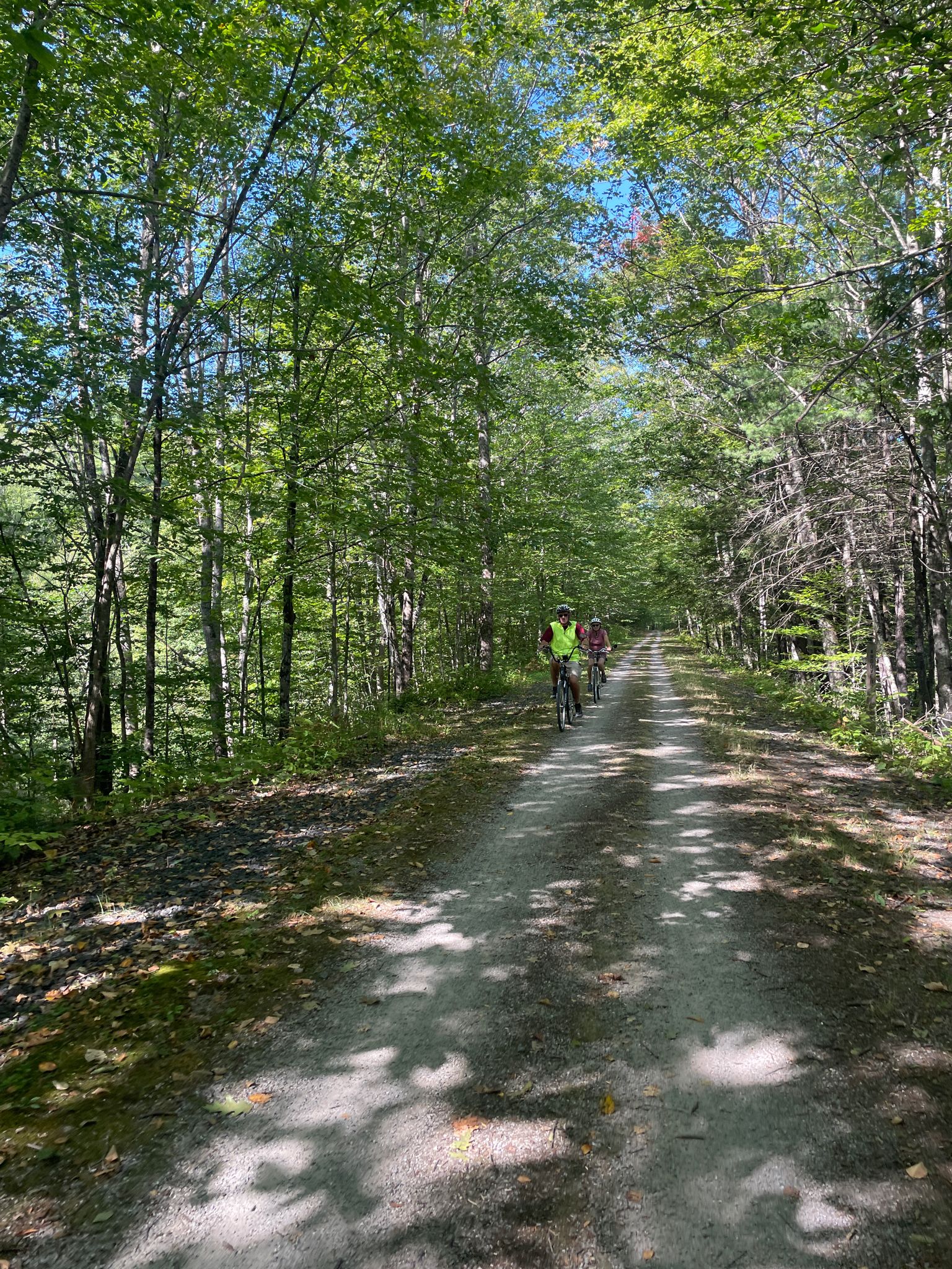 Two people cycle on a sun-dappled dirt path through a green forest. - Northern Rail Trail