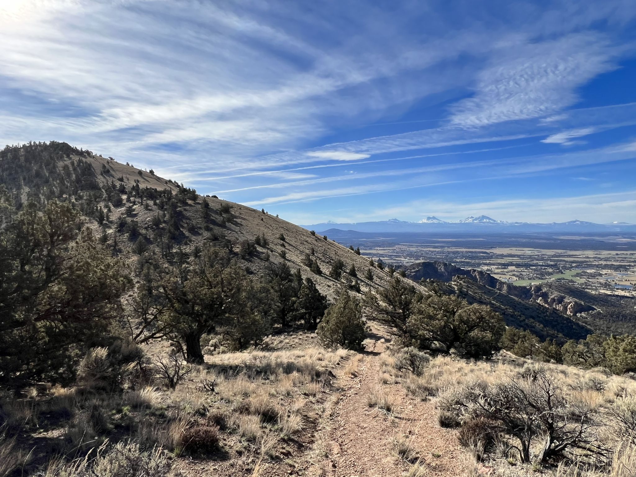 Dirt trail winding up a dry, tree-covered hillside with distant snow-capped mountains. - Eagle's Nest via Gray Butte Trail