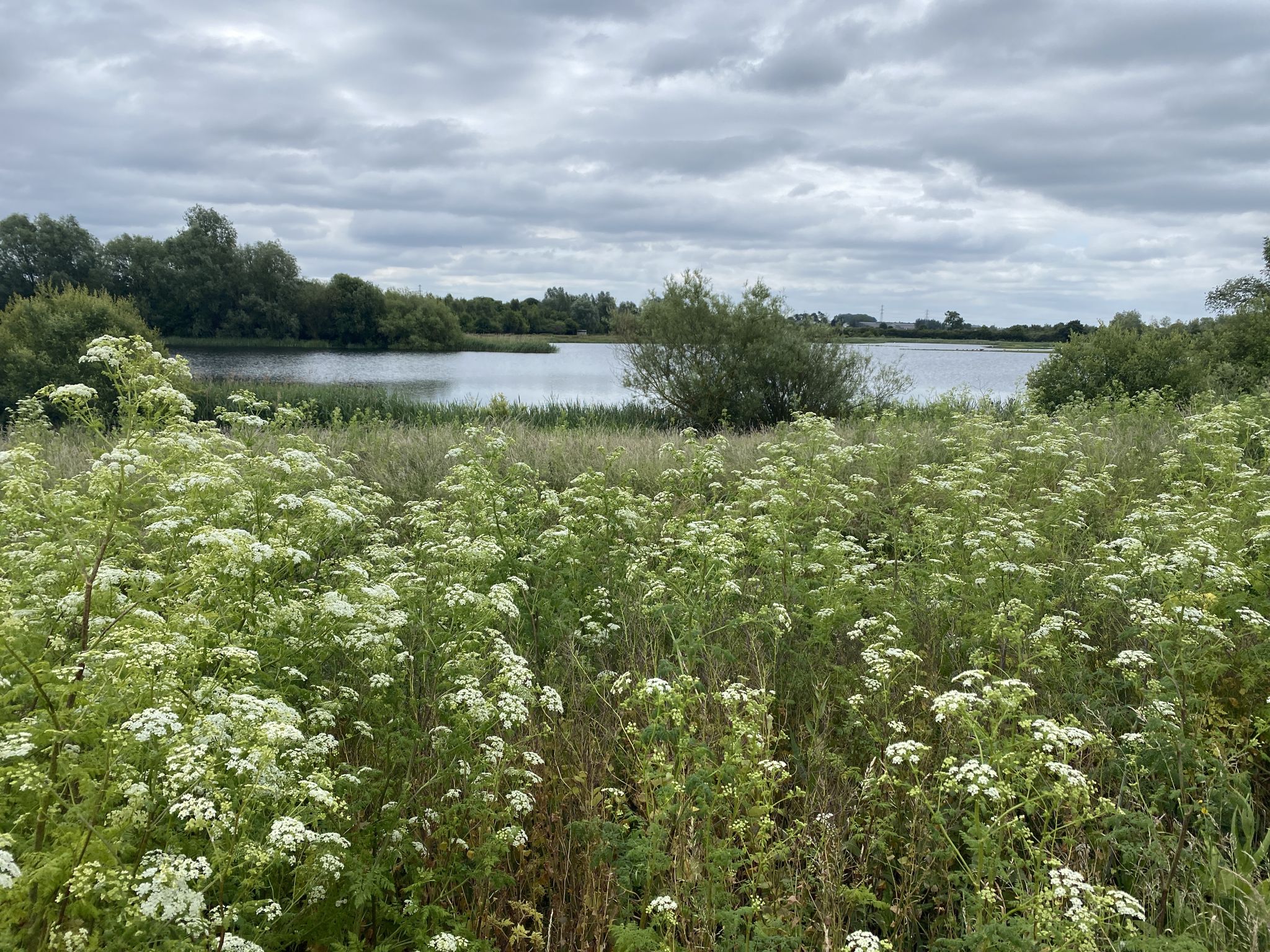 Summer Leys Nature Reserve 