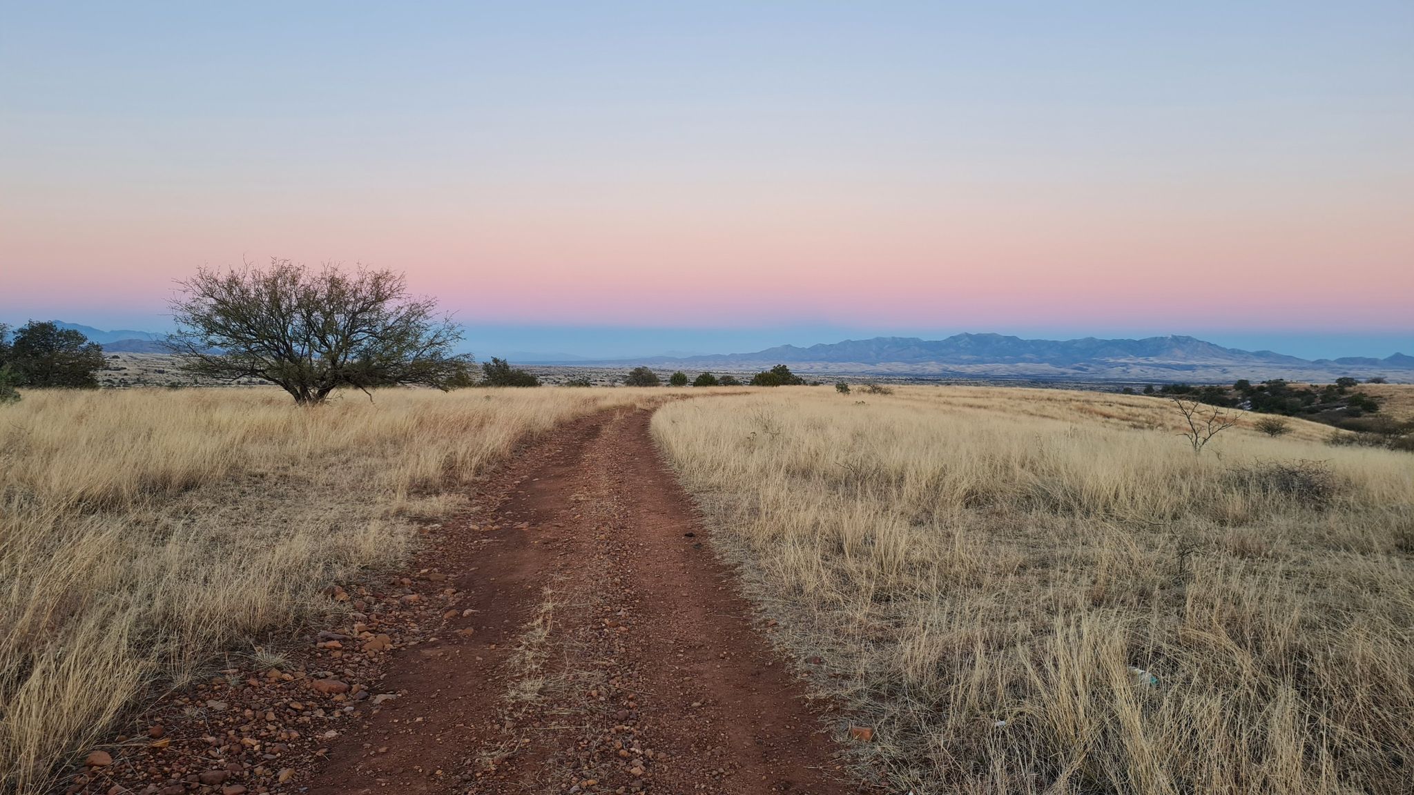A dirt road through a vast grassy field at sunset with distant mountains. - Apache Springs Trailhead – Arizona Trail – FR4110 Section loop from Arizona Trail Gardener Canyon Trailhead Parking